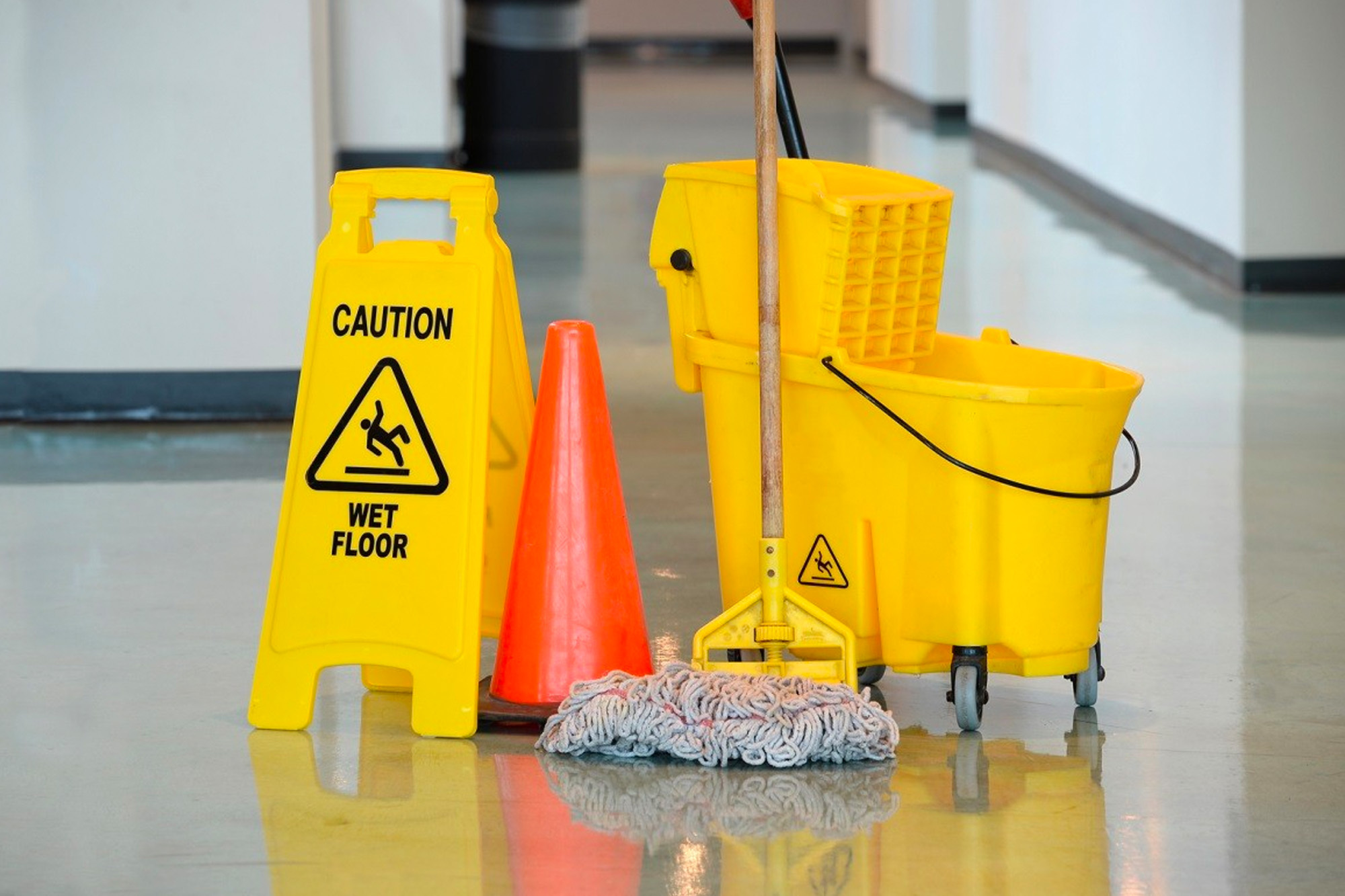 1st Choice Cleaning Web Kakapo Business Sales