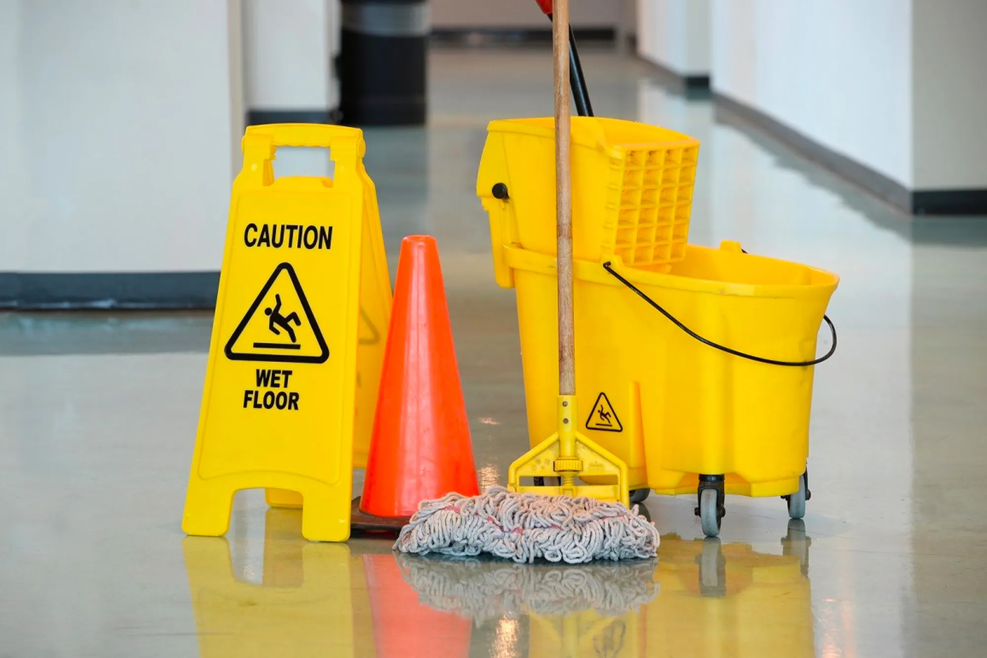 1st Choice Cleaning Web Kakapo Business Sales