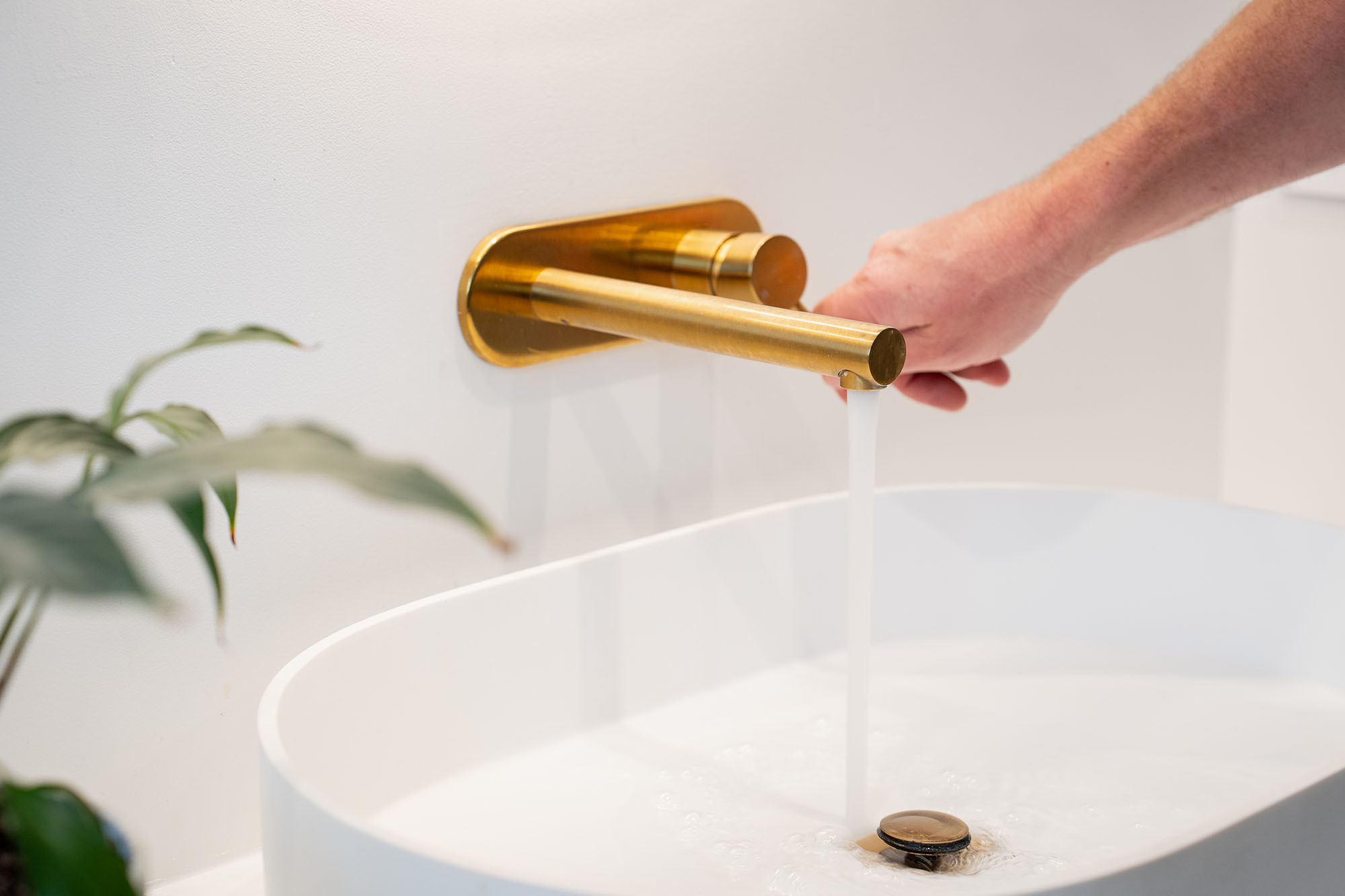 Access Plumbing Web8 Kakapo Business Sales