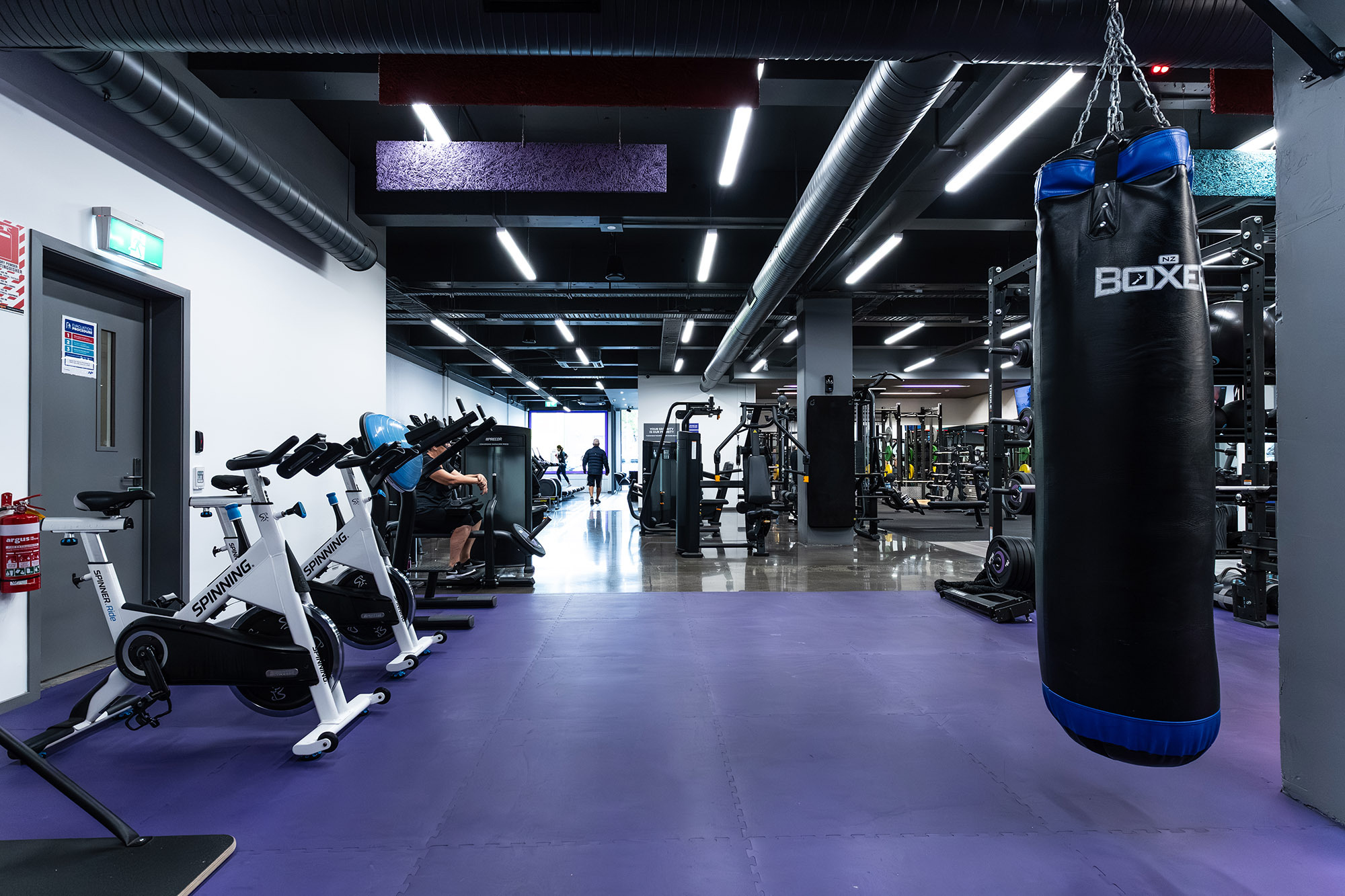 Anytime Fitness Newmarket Web12 Kakapo Business Sales