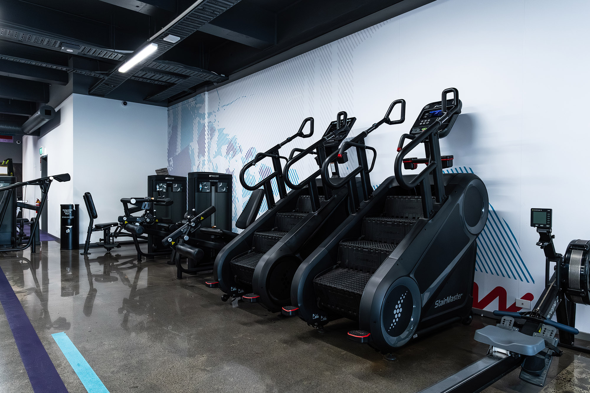 Anytime Fitness Newmarket Web15 Kakapo Business Sales
