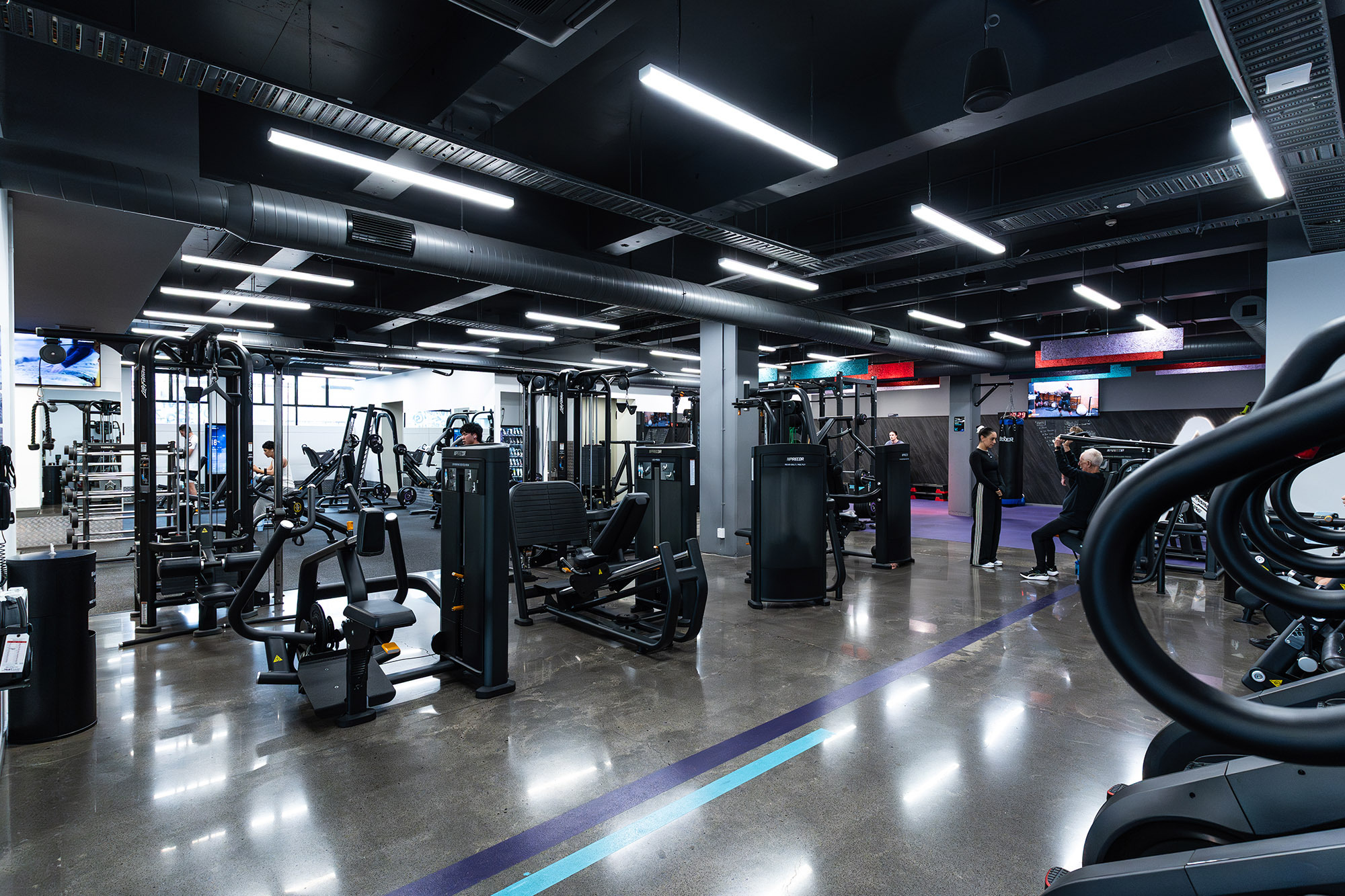 Anytime Fitness Newmarket Web16 Kakapo Business Sales
