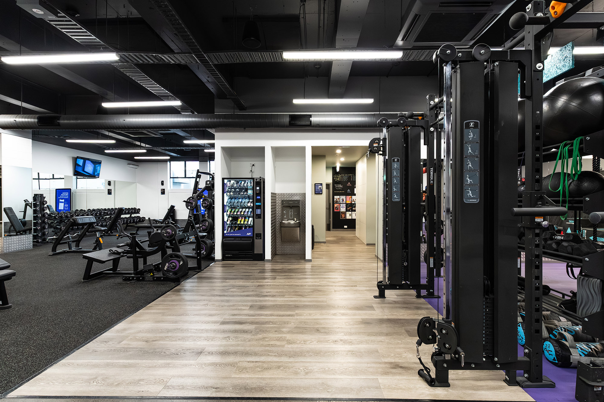 Anytime Fitness Newmarket Web8 Kakapo Business Sales