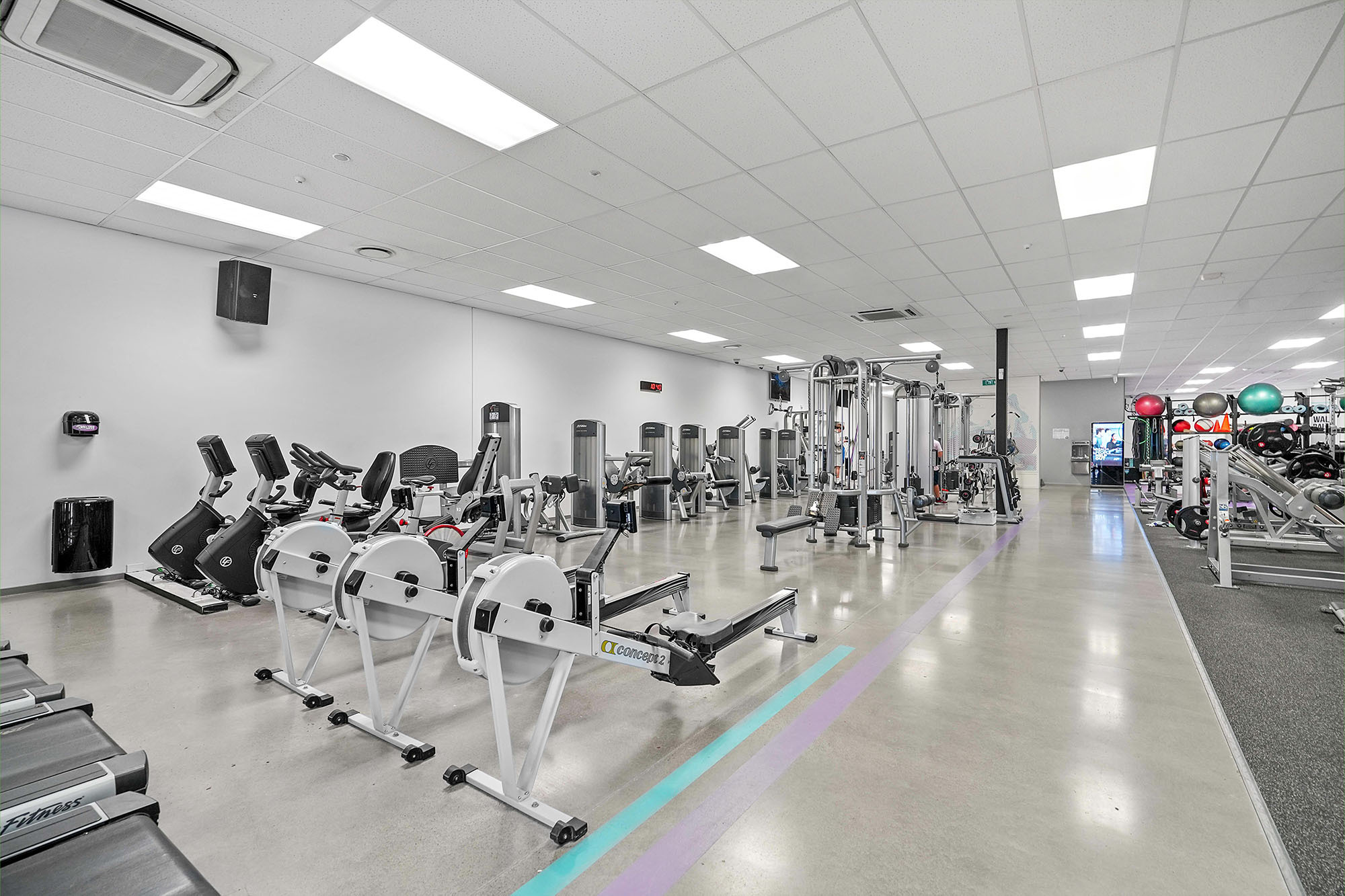 Anytime Fitness Shirley Web11 Kakapo Business Sales