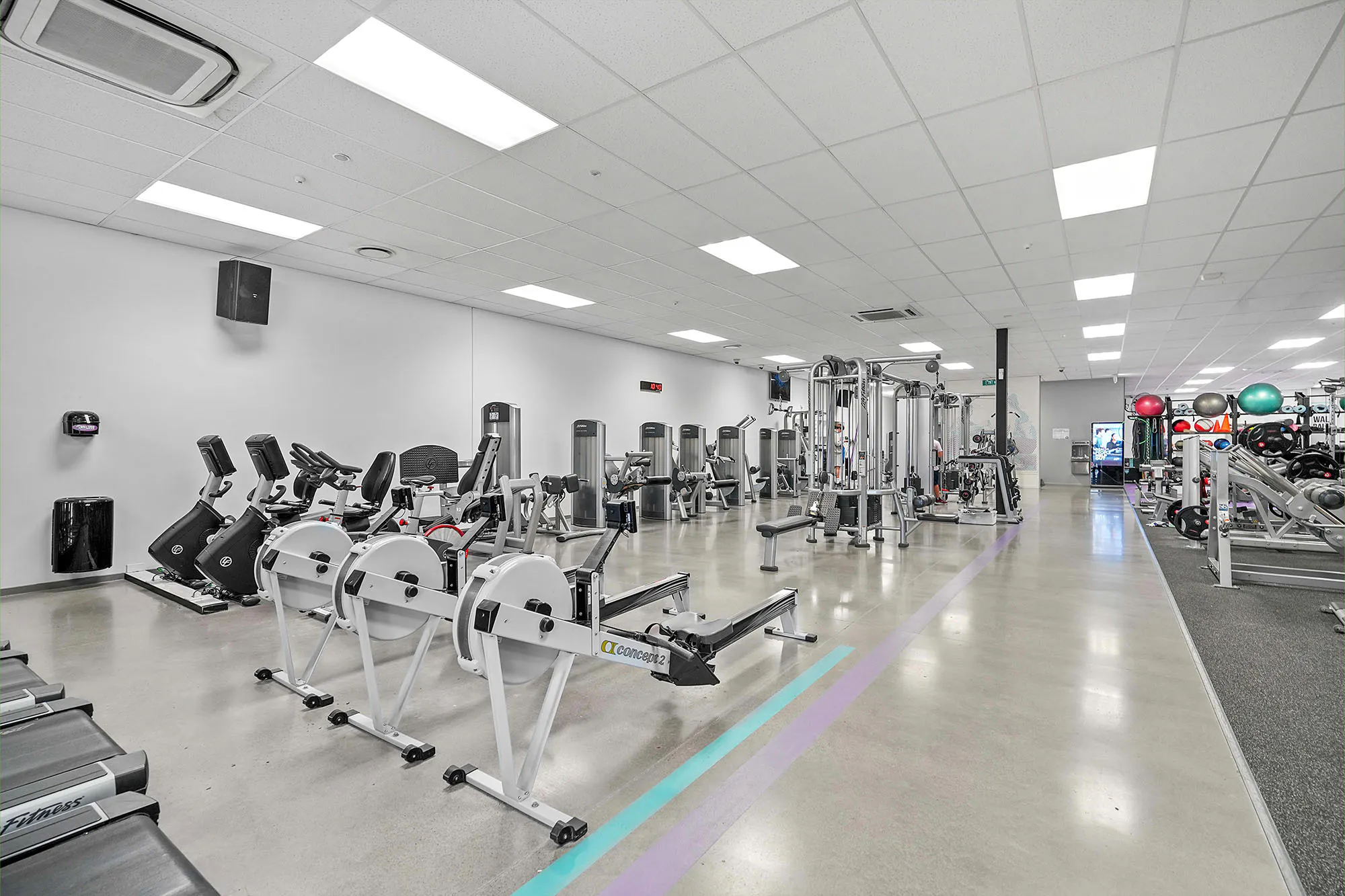Anytime Fitness Shirley Web11 Kakapo Business Sales