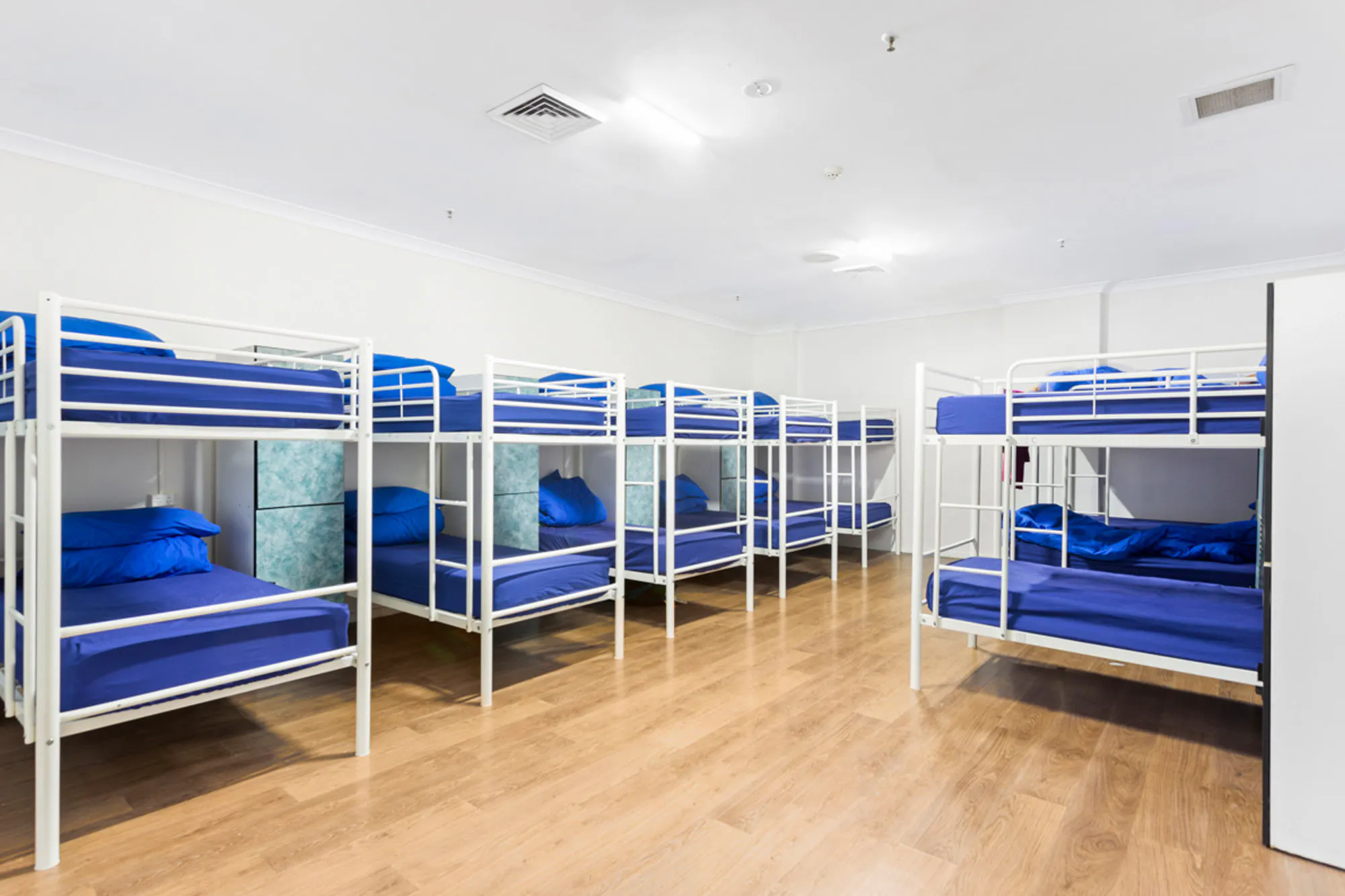 Backpackers Auckland Web1 Kakapo Business Sales