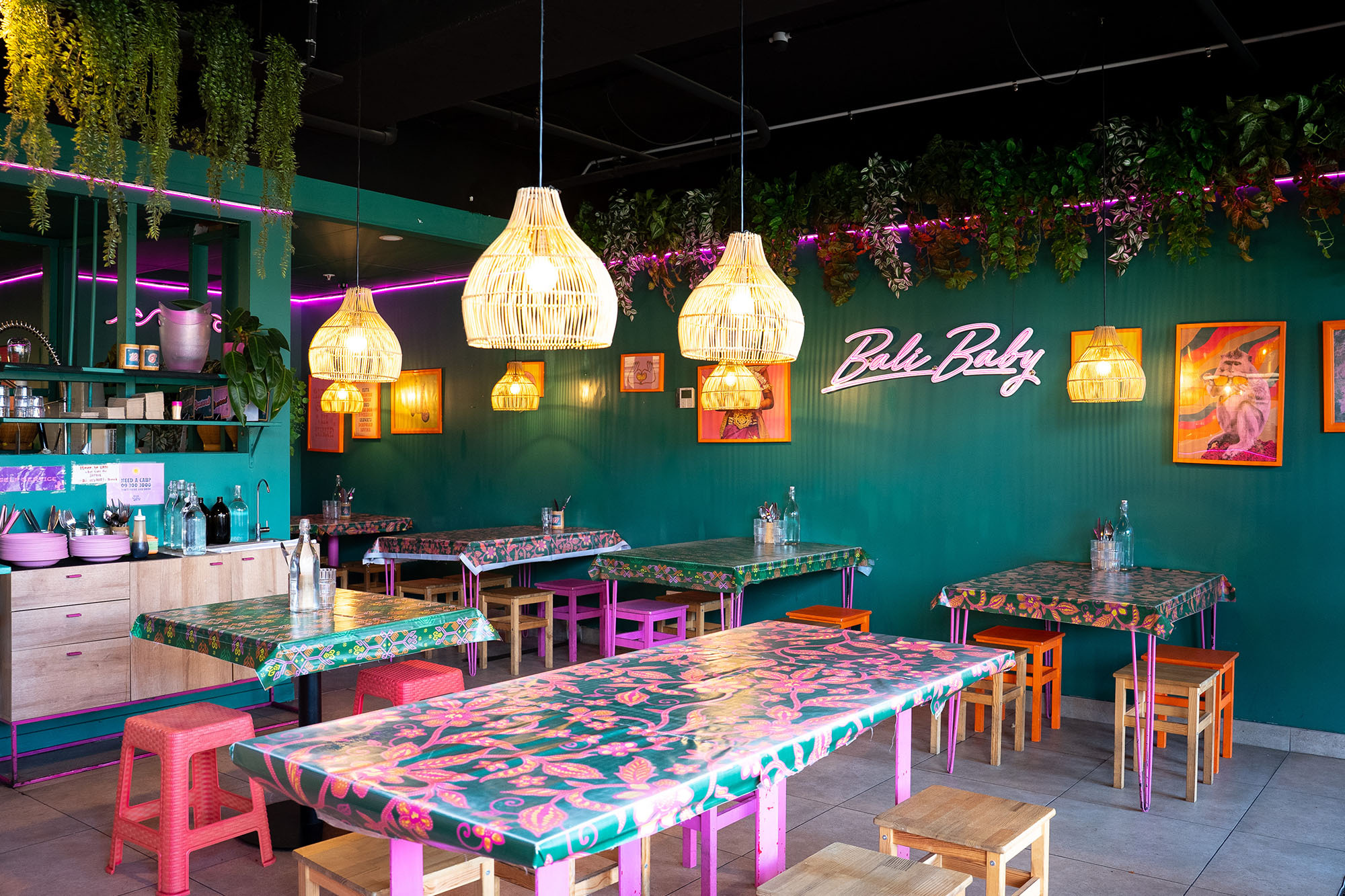 Bali nights Web7 Kakapo Business Sales