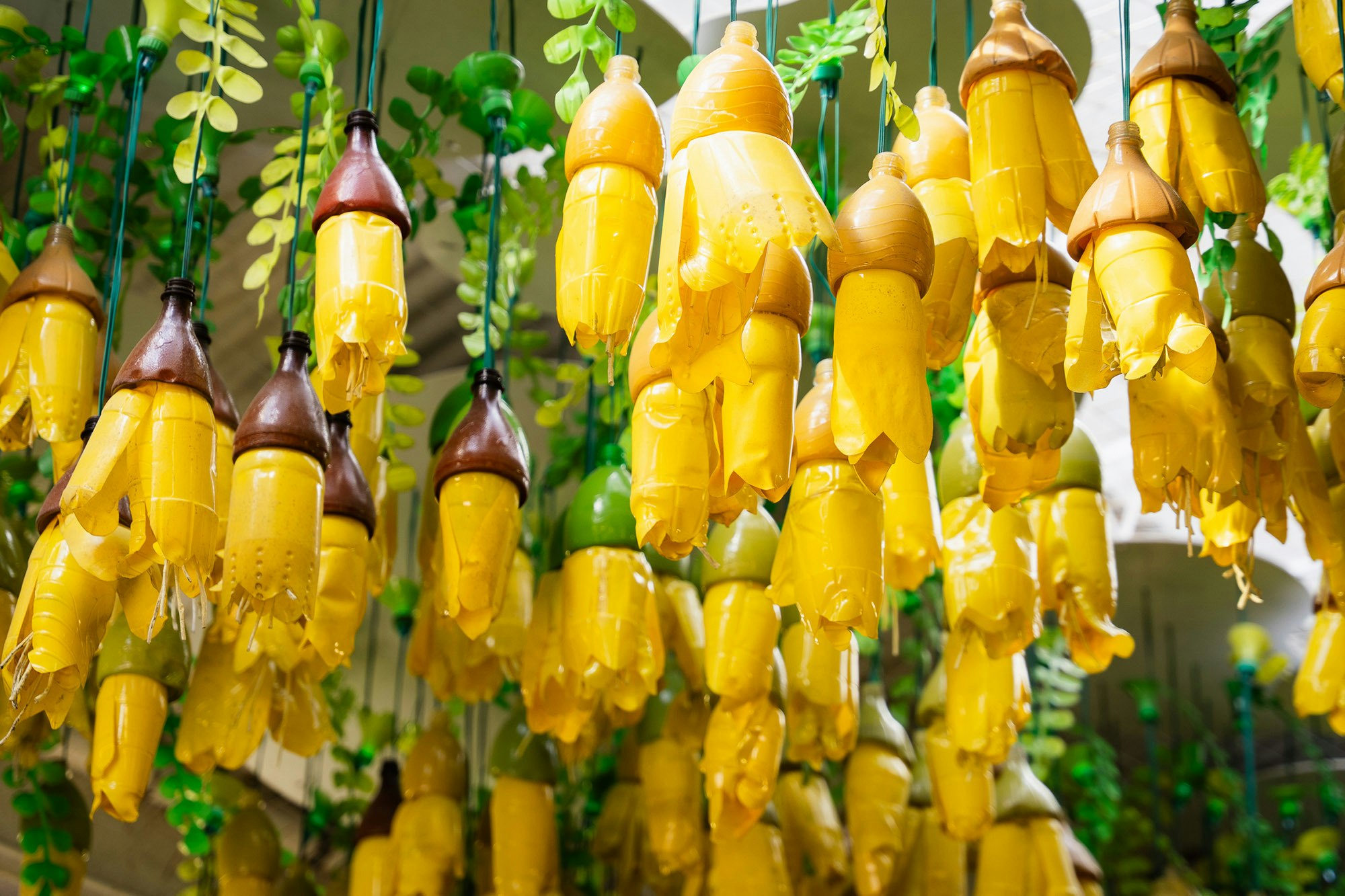 Banana Blossom Cafe Web2 Kakapo Business Sales