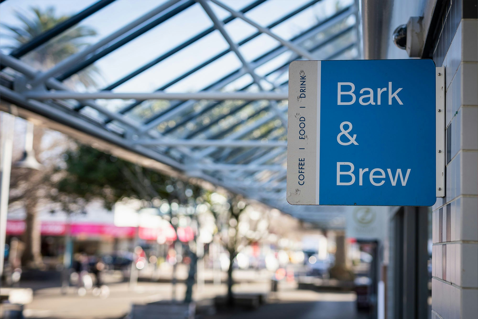 Bark Brew 2 Web6 Kakapo Business Sales