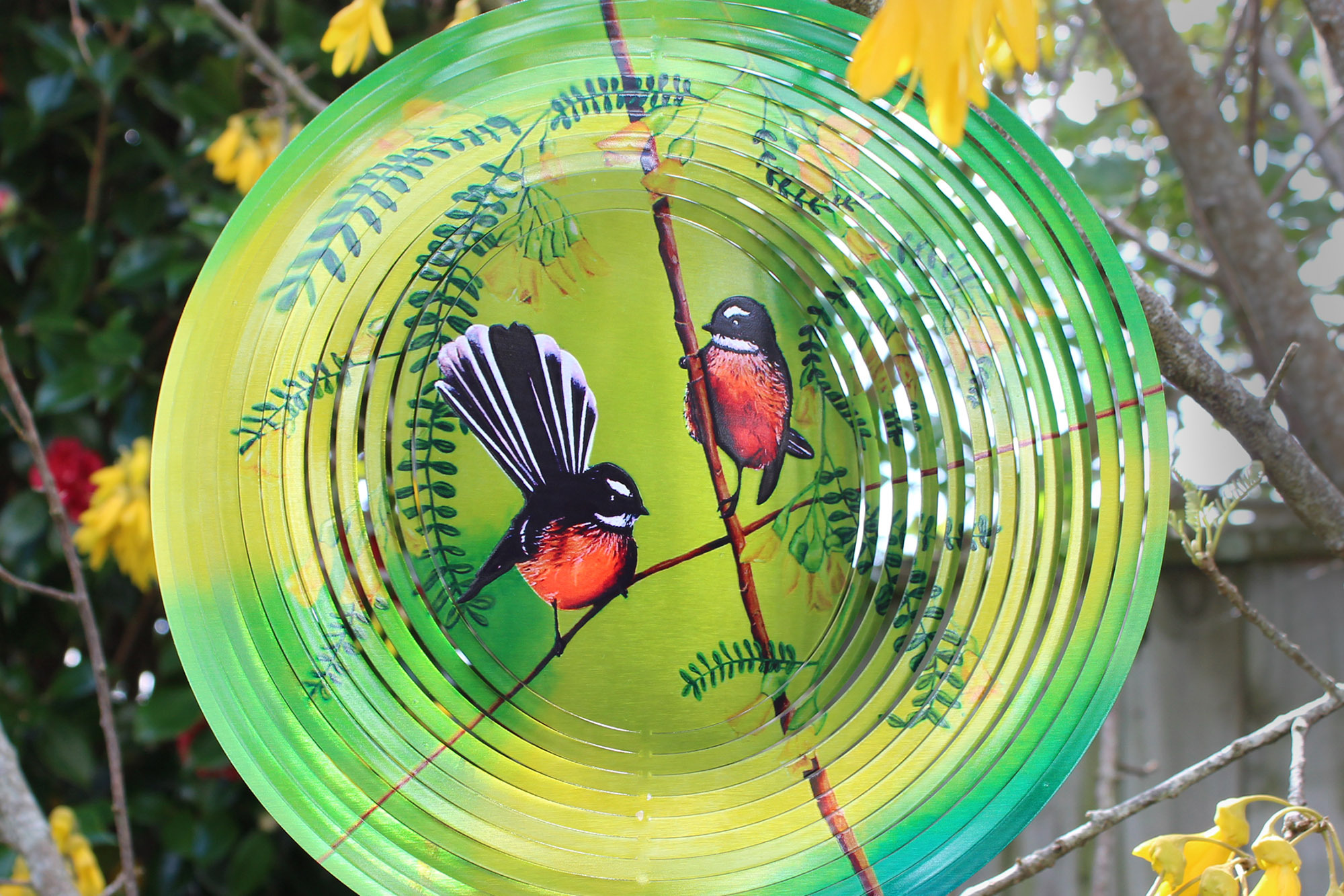Beauty The Wind Web1 Kakapo Business Sales