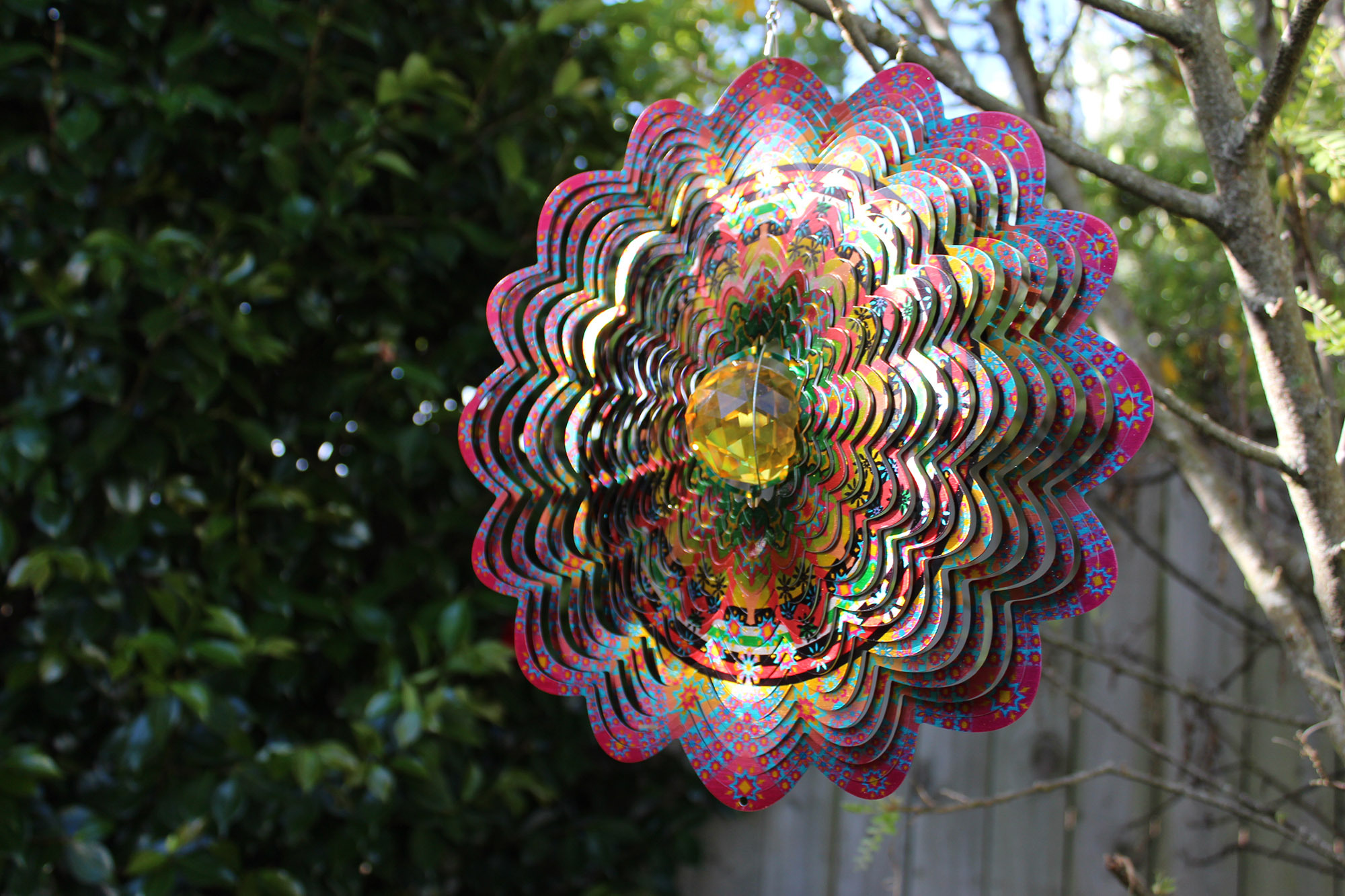 Beauty The Wind Web4 Kakapo Business Sales