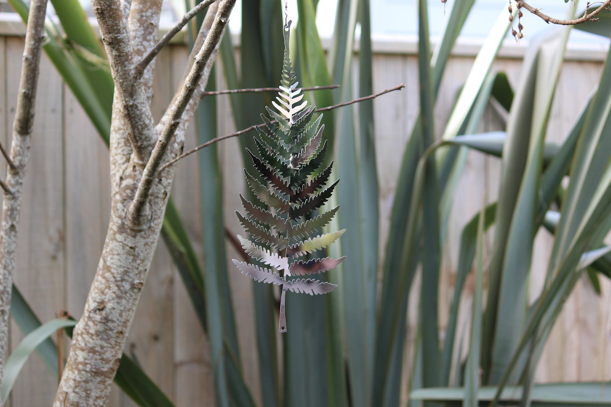Beauty The Wind Web5 Kakapo Business Sales