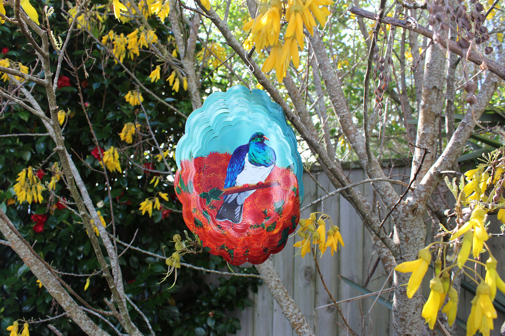 Beauty The Wind Web6 Kakapo Business Sales