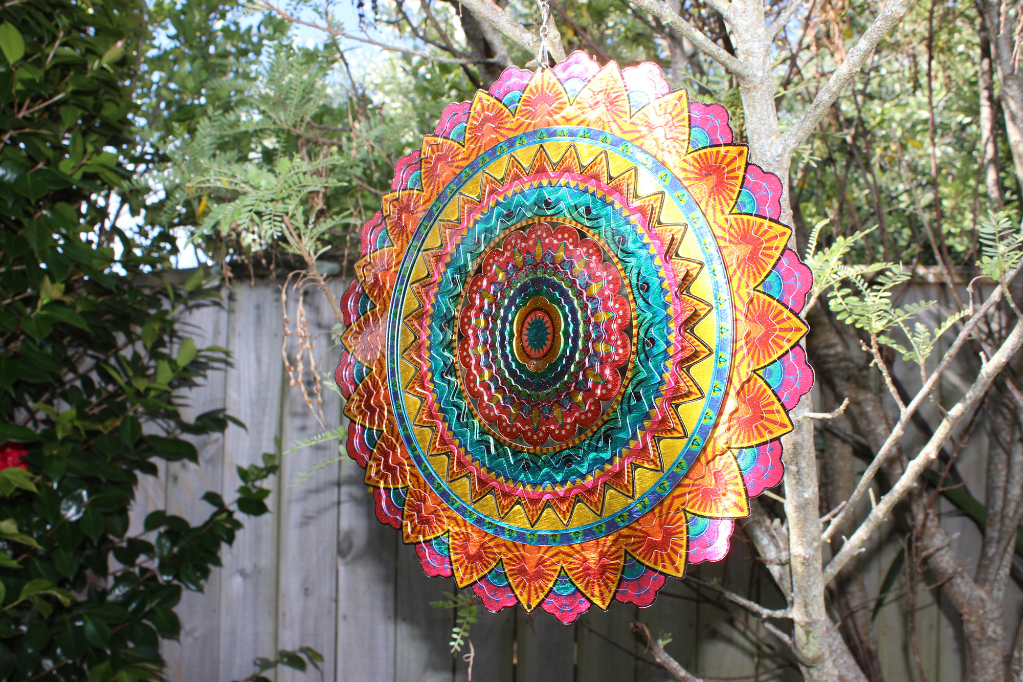 Beauty The Wind Web7 Kakapo Business Sales