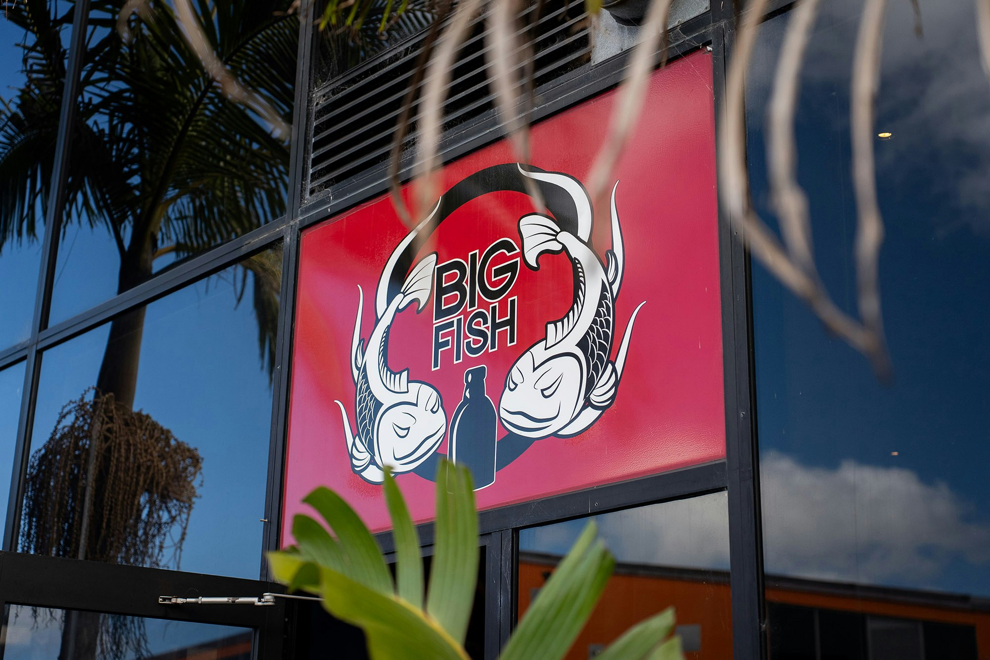 Big Fish Penrose Web6 Kakapo Business Sales
