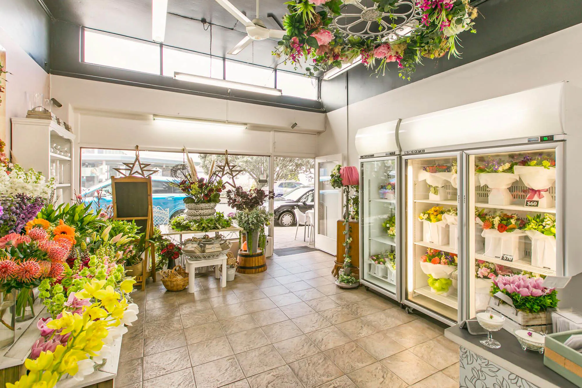 Bloomsbury 2 Kakapo Business Sales