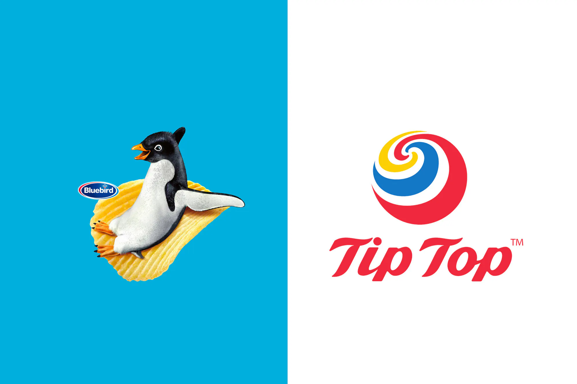 Bluebird Tiptop Web2 Kakapo Business Sales