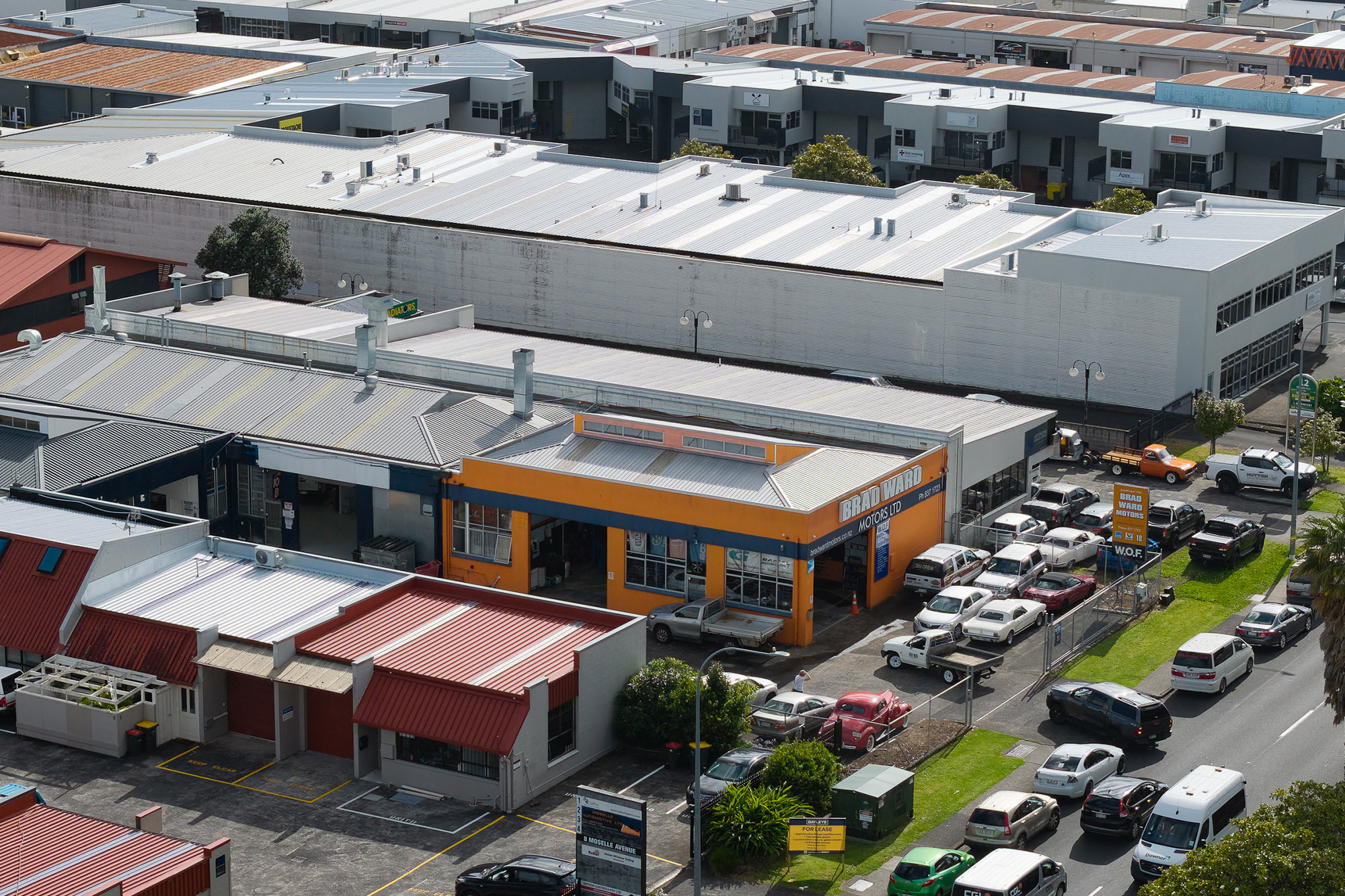 Brad Ward Motors Web3 Kakapo Business Sales