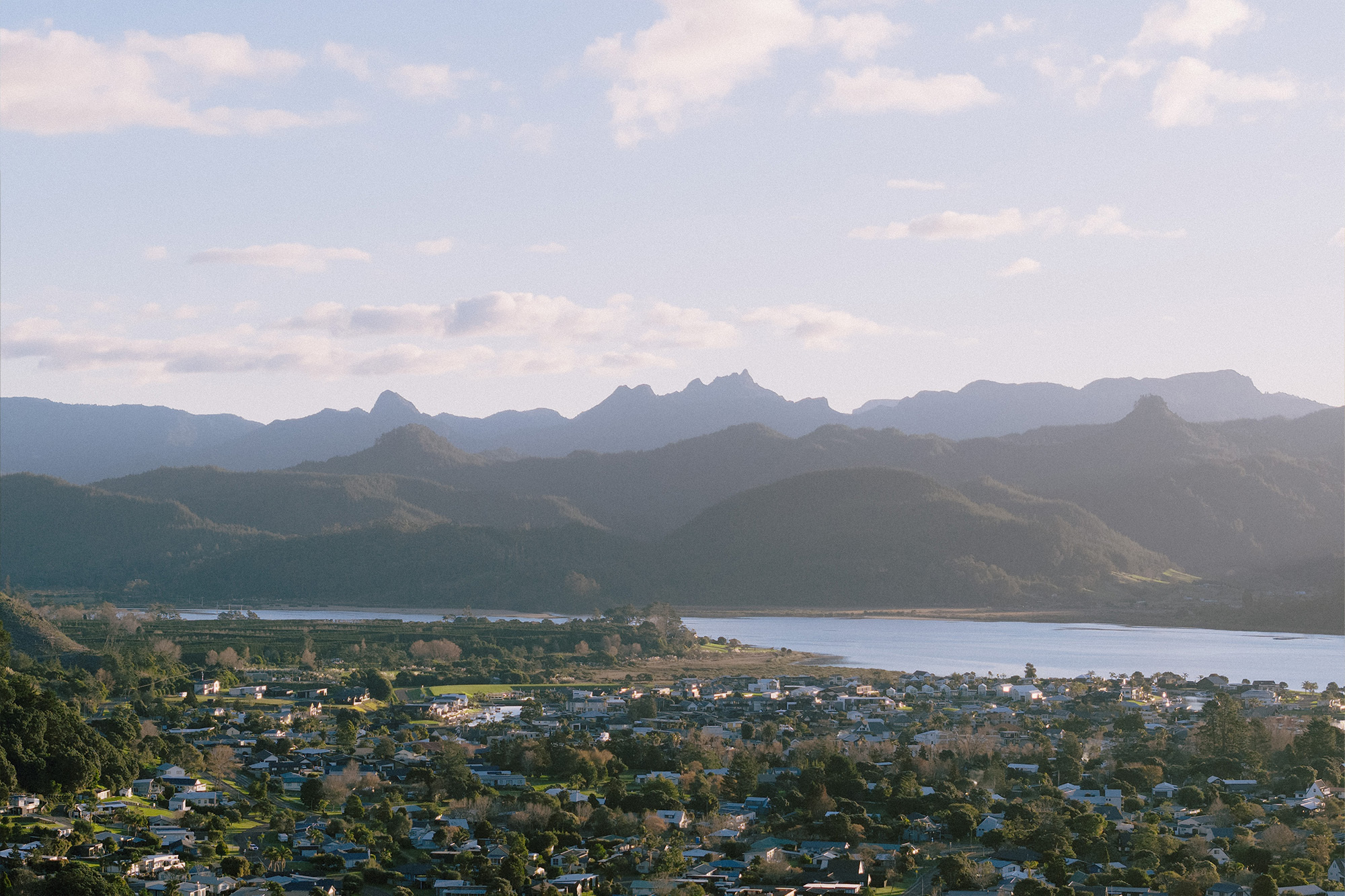 Cabana Web 12 Kakapo Business Sales