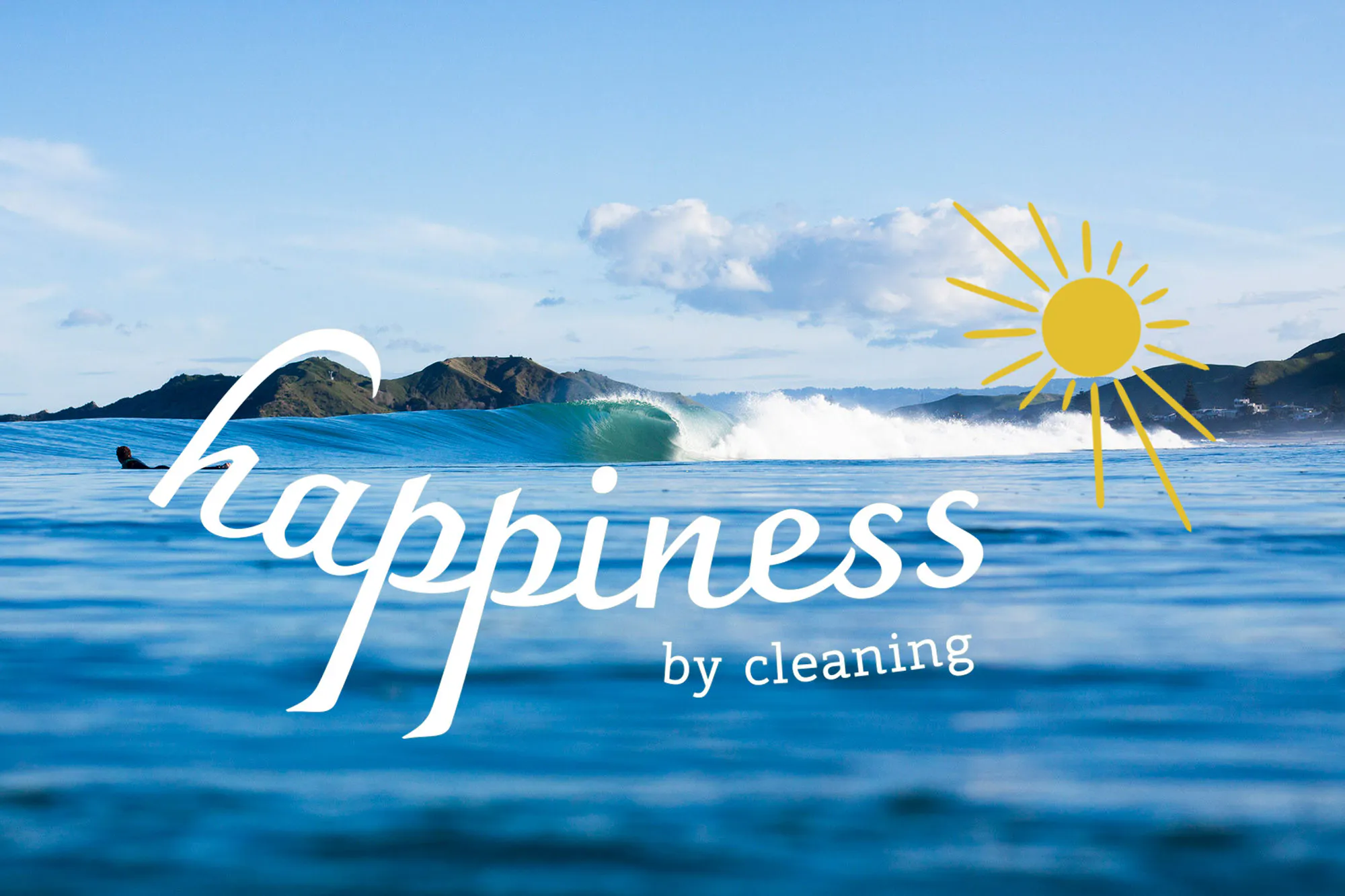 Cleaning Web1 Kakapo Business Sales