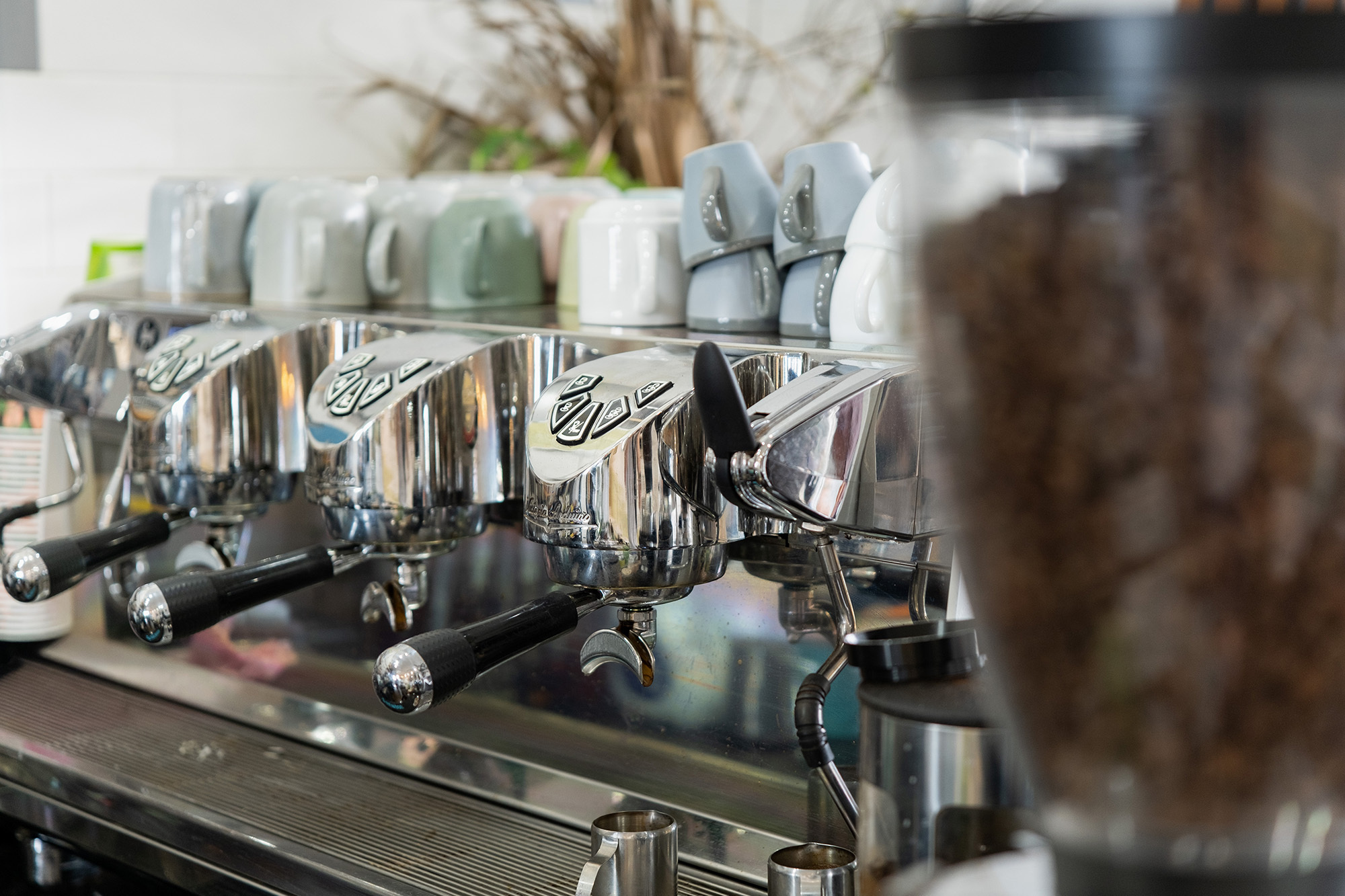 Crispy Eatery Web10 Kakapo Business Sales