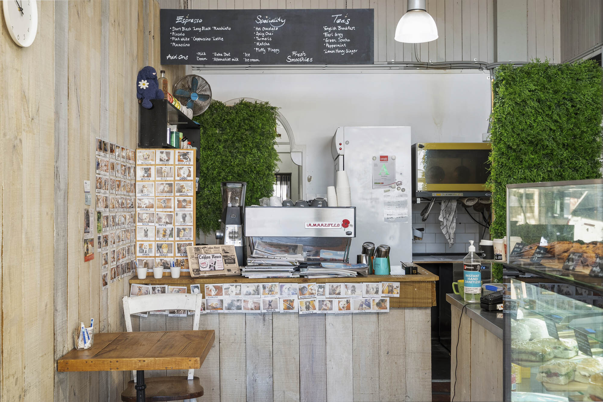 Daisys of Jervois Web8 Kakapo Business Sales