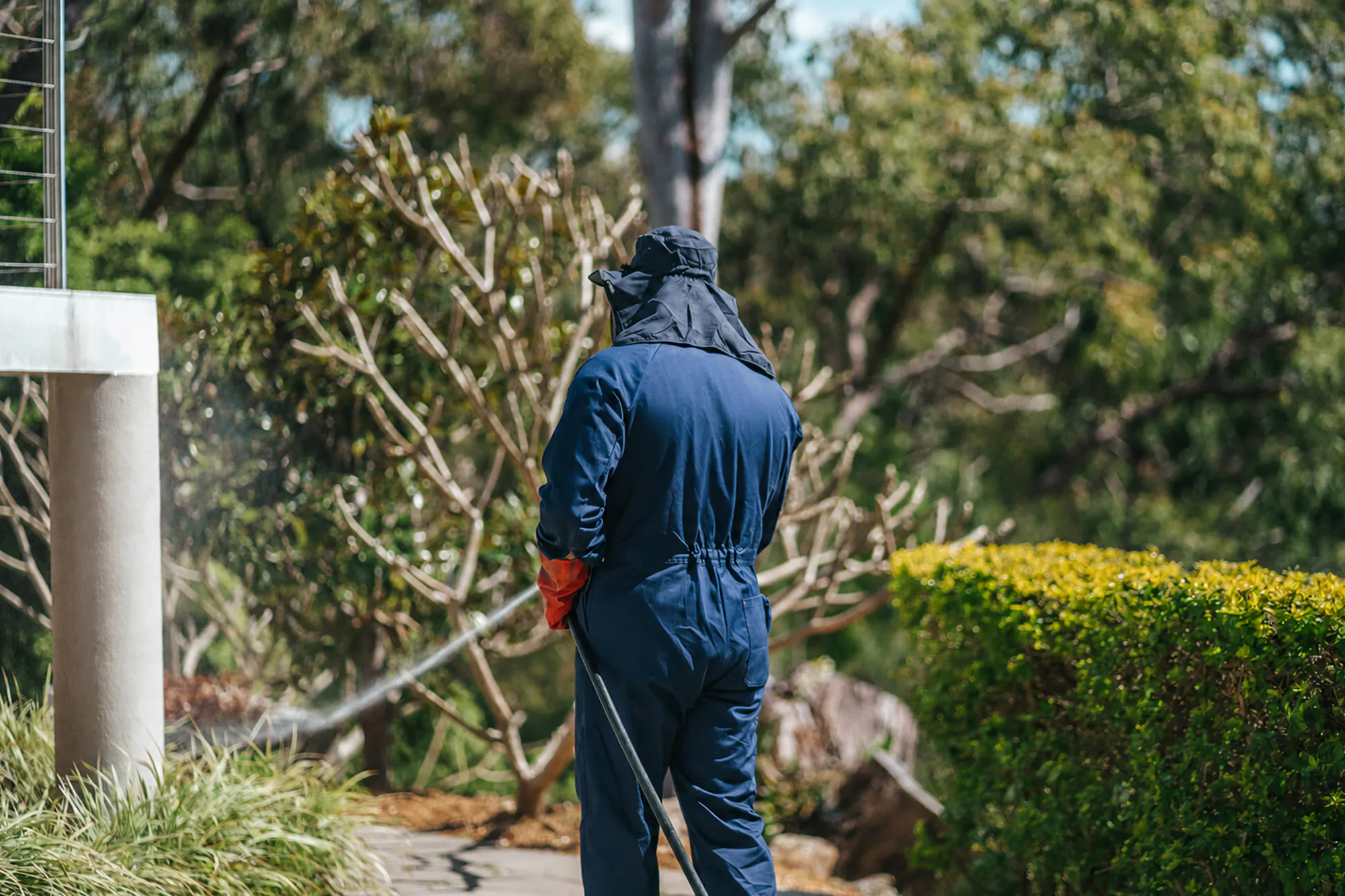 Economic Pest Web1 Kakapo Business Sales