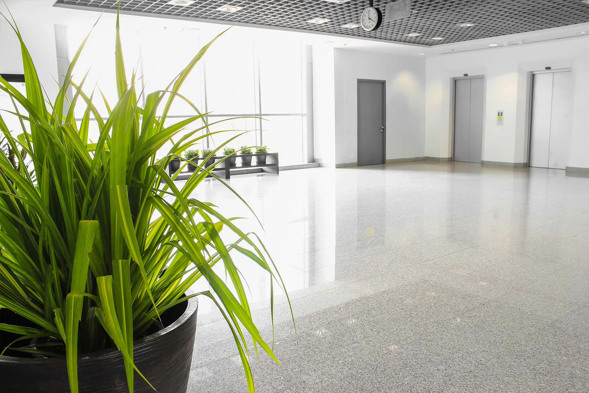 F Cleaning Biz Web2 Kakapo Business Sales