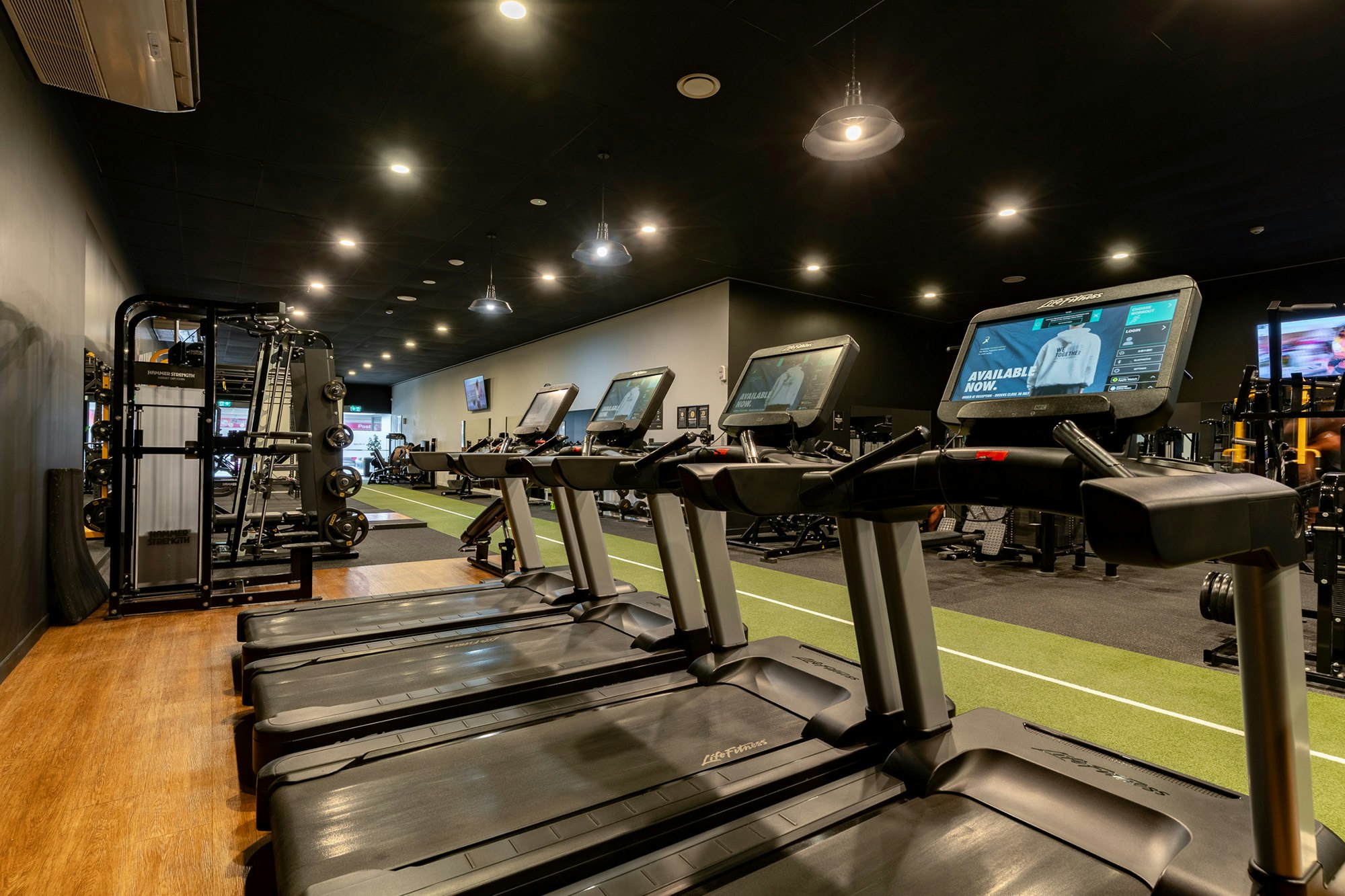 Flex Fitness Masterton Web12 Kakapo Business Sales
