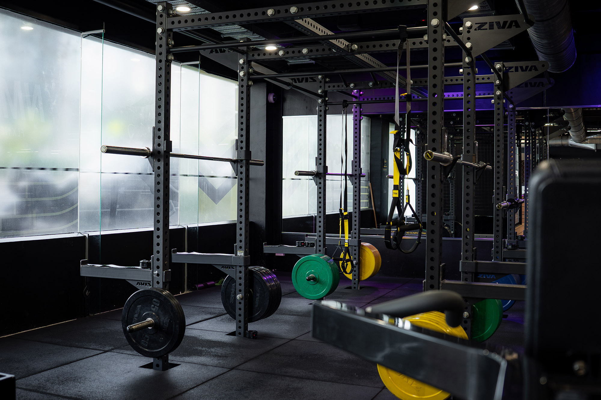 Flex Fitness Newmarket Web13 Kakapo Business Sales