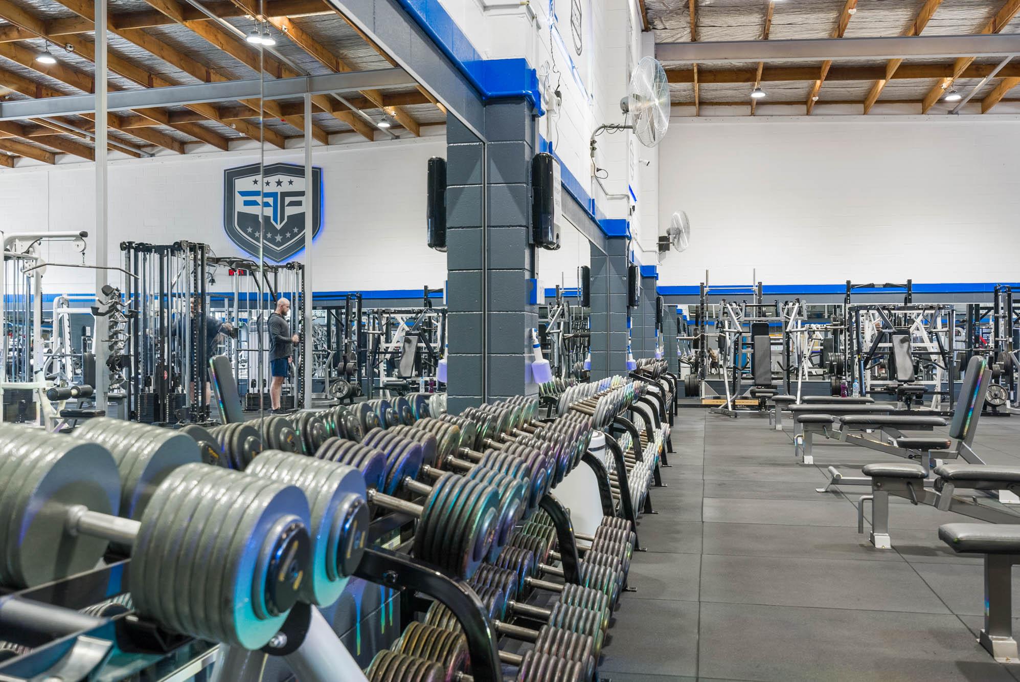 Functional Fitness Web8 Kakapo Business Sales