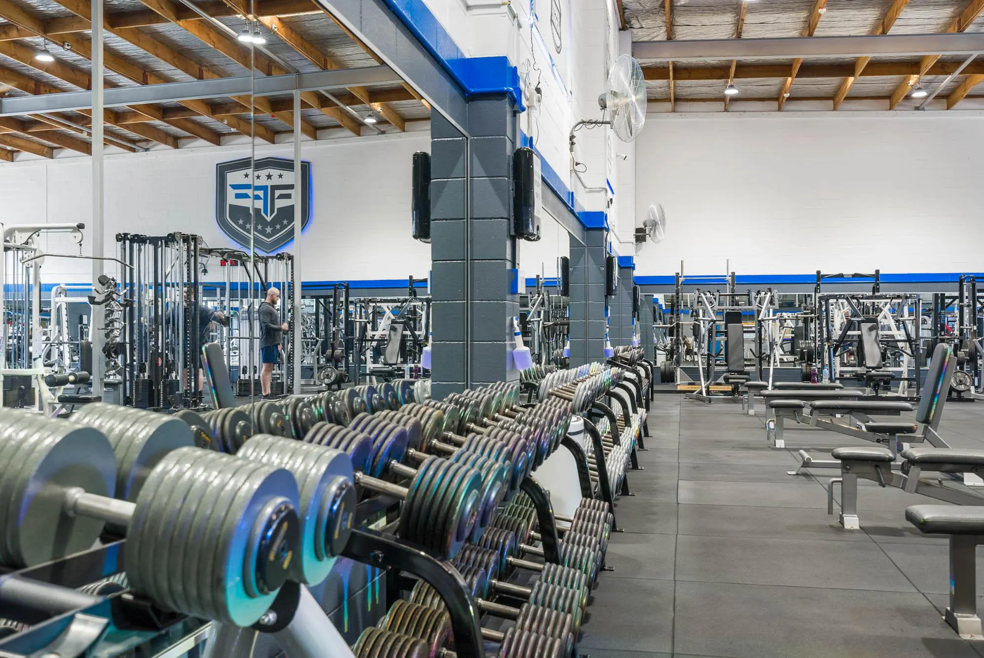 Functional Fitness Web8 Kakapo Business Sales