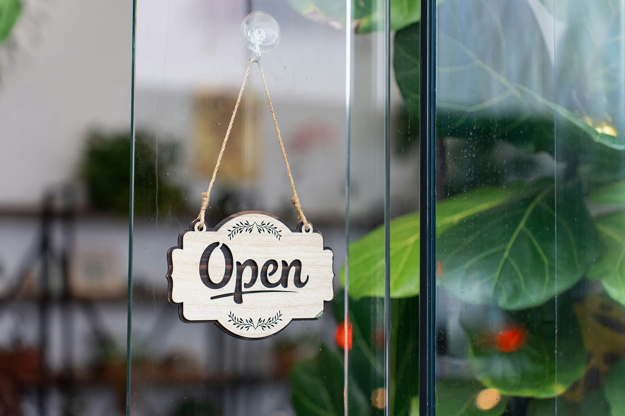 Green House Parnell Web2 Kakapo Business Sales