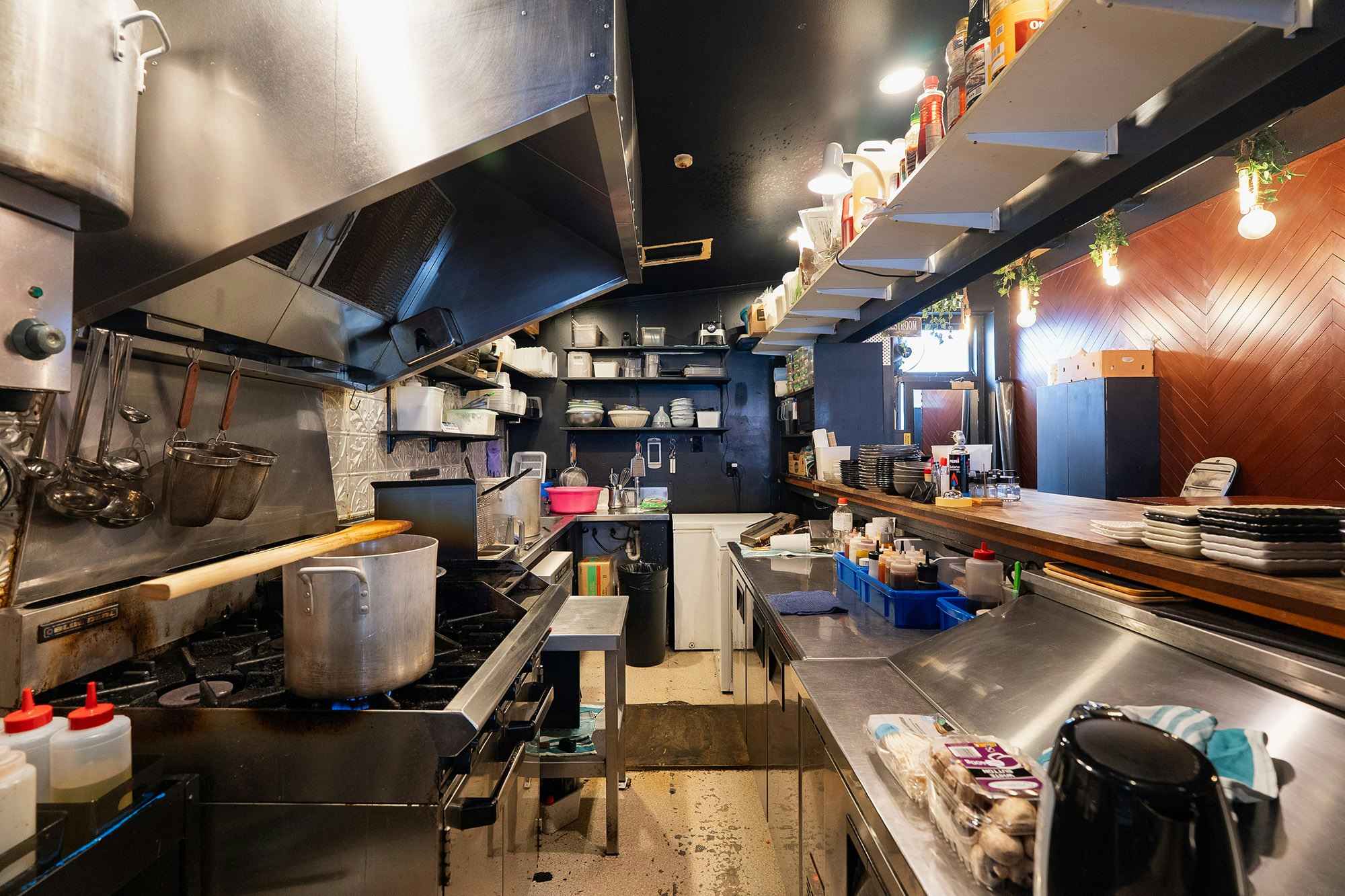 Gyoza bar Web2 Kakapo Business Sales