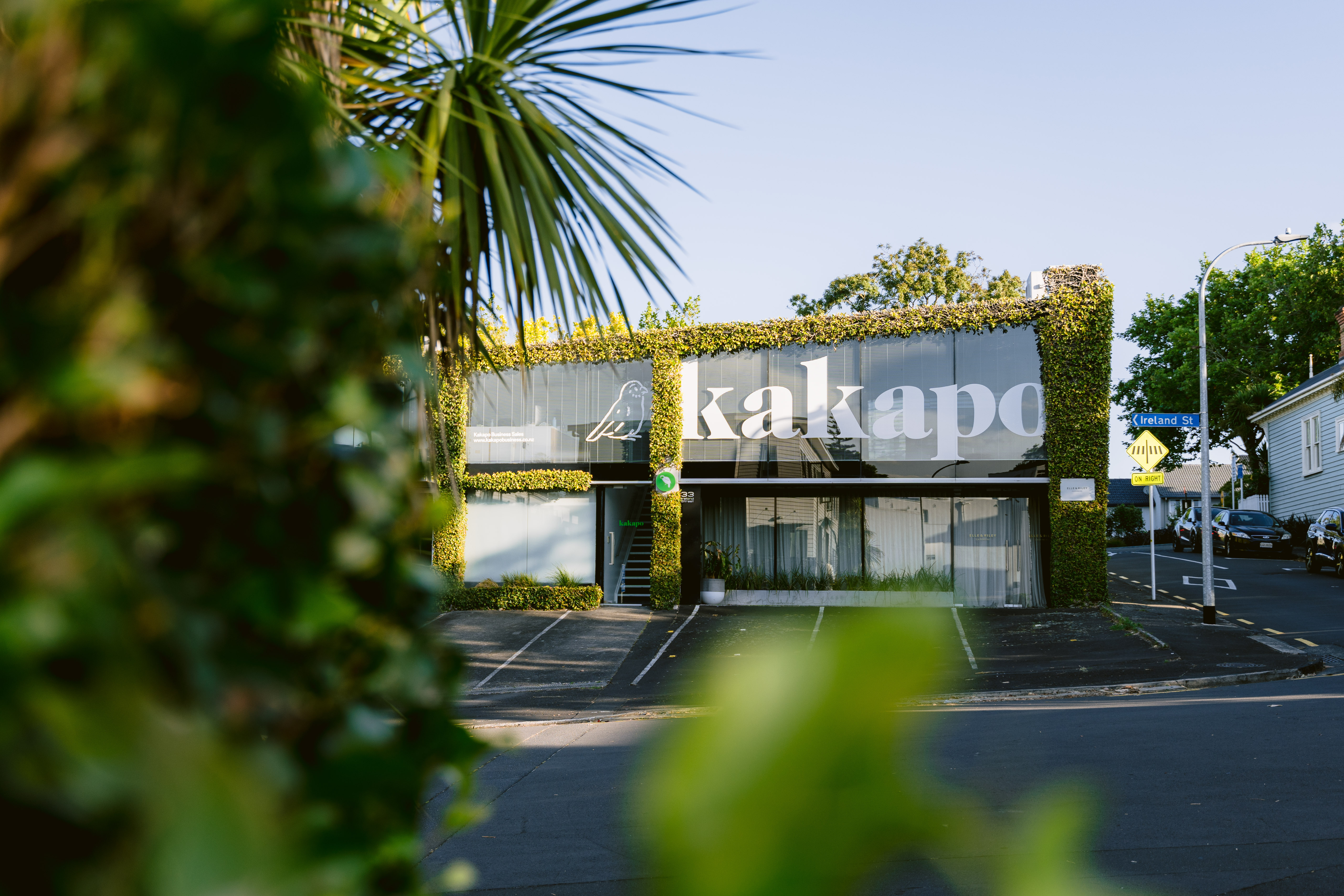 Kakapo Office 9