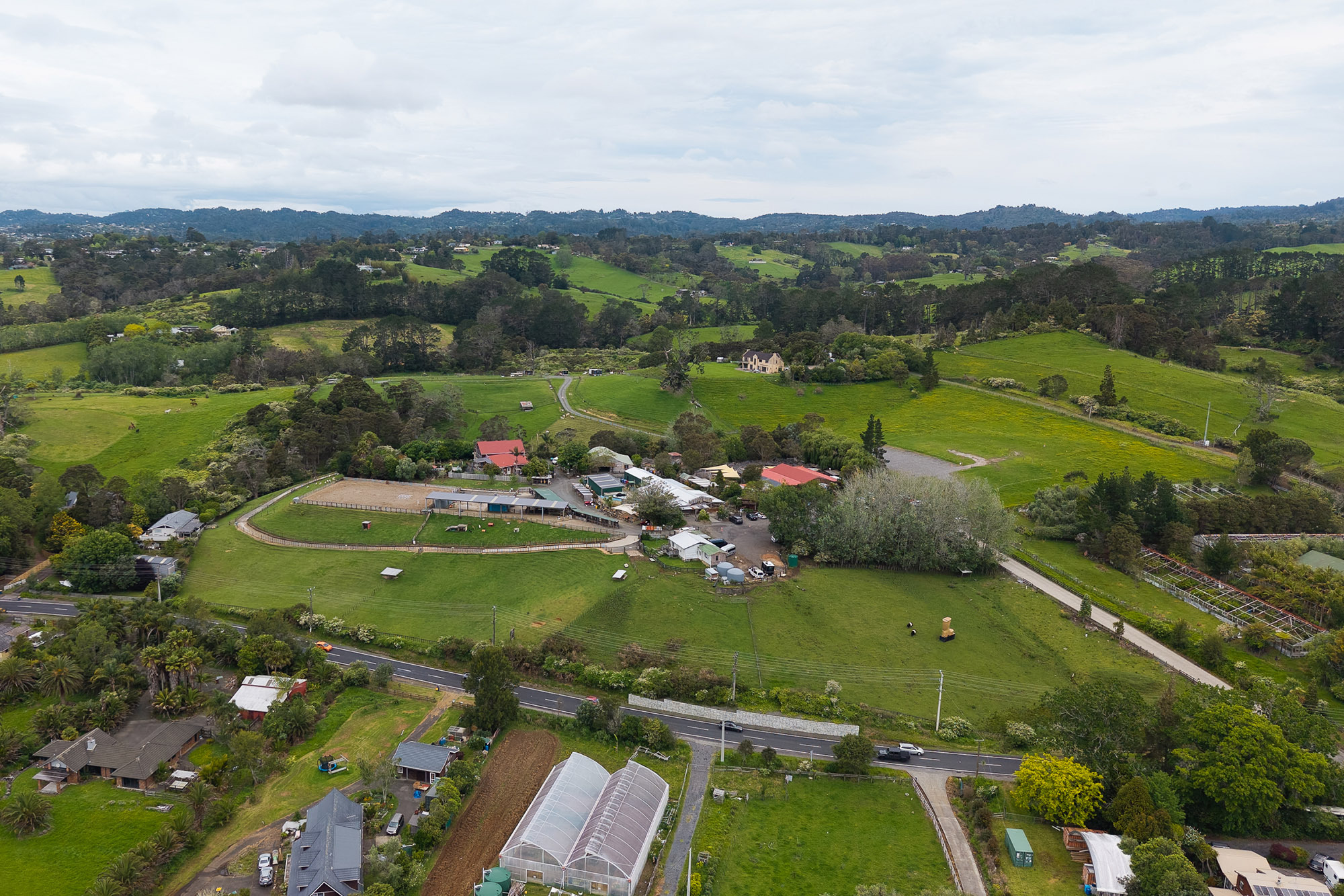Kiwi Valley Web1 Kakapo Business Sales
