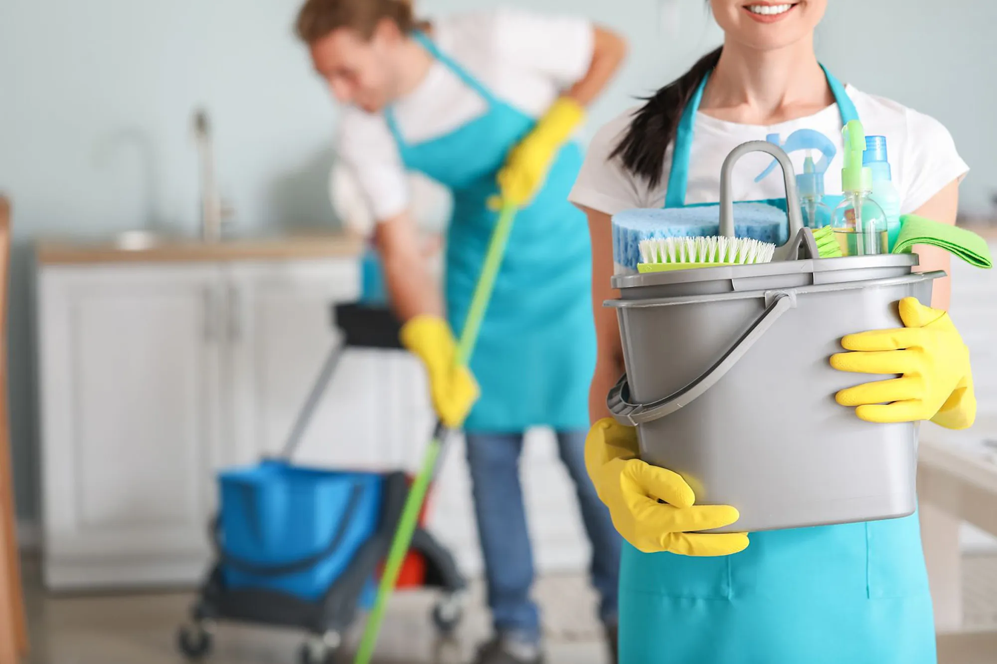 Kowhai Cleaning Web1 Kakapo Business Sales
