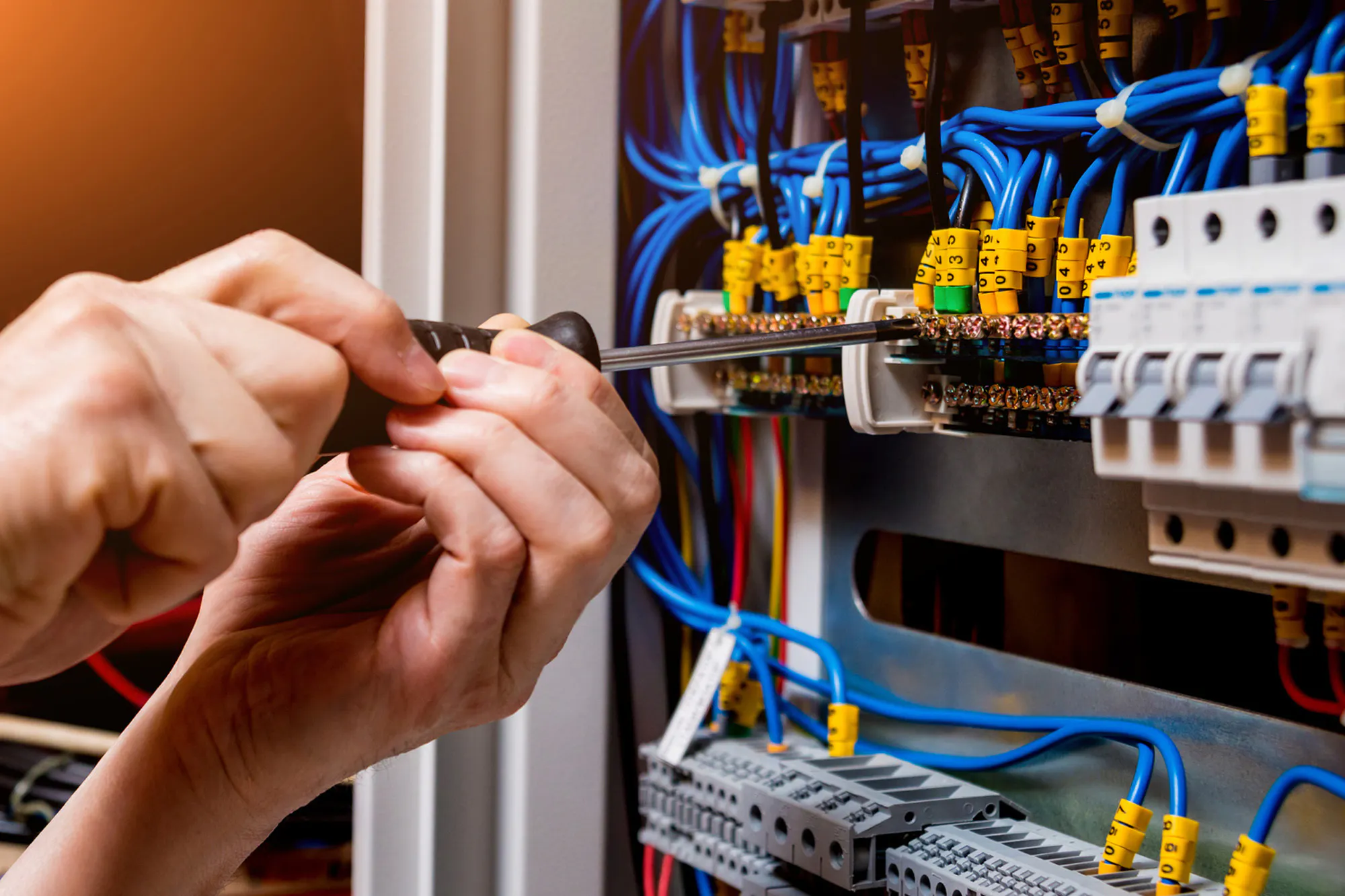 MCW Electrical Web1 Kakapo Business Sales