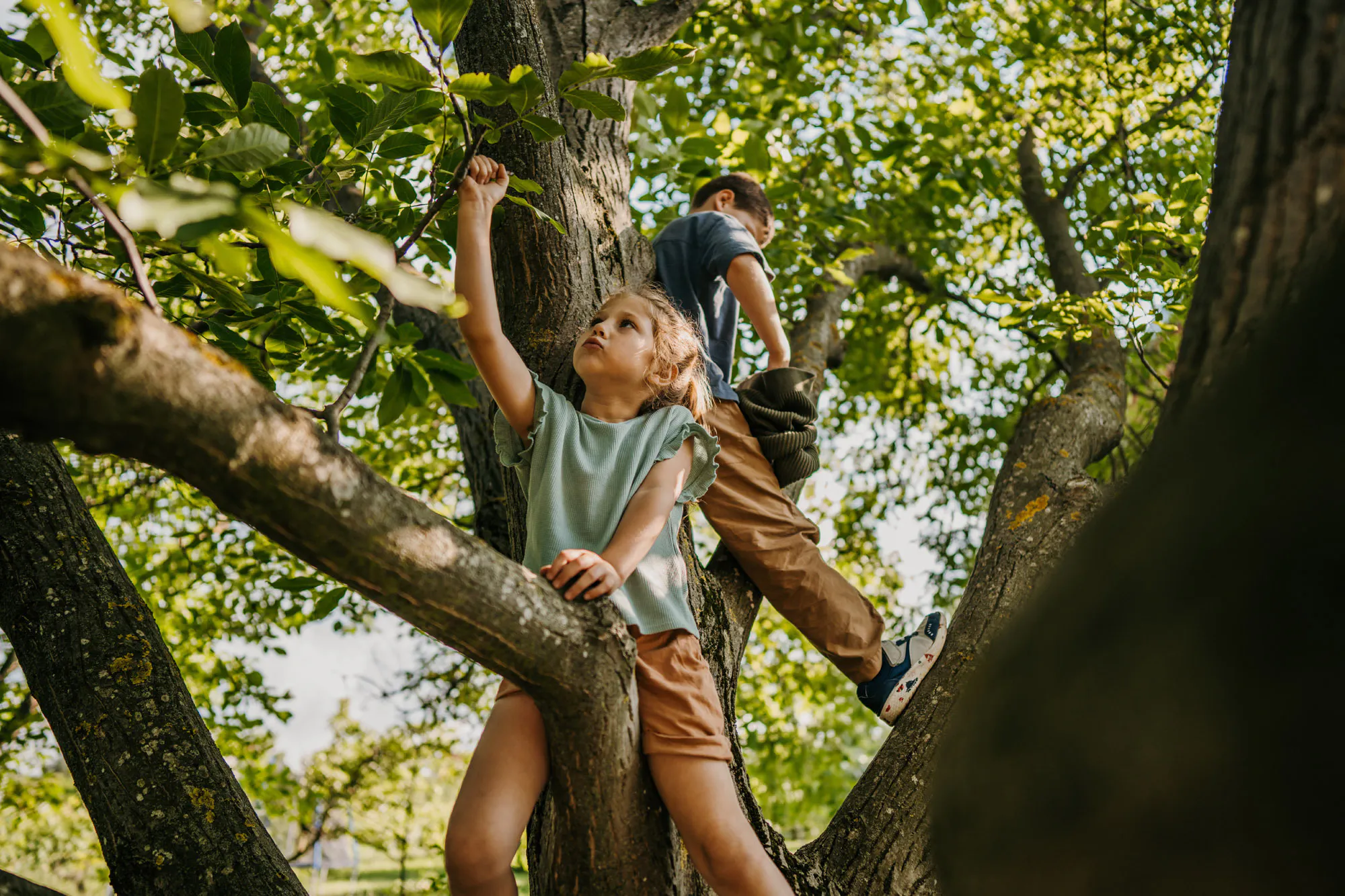 Nature Based Taupo Childcare Web1 Kakapo Business Sales