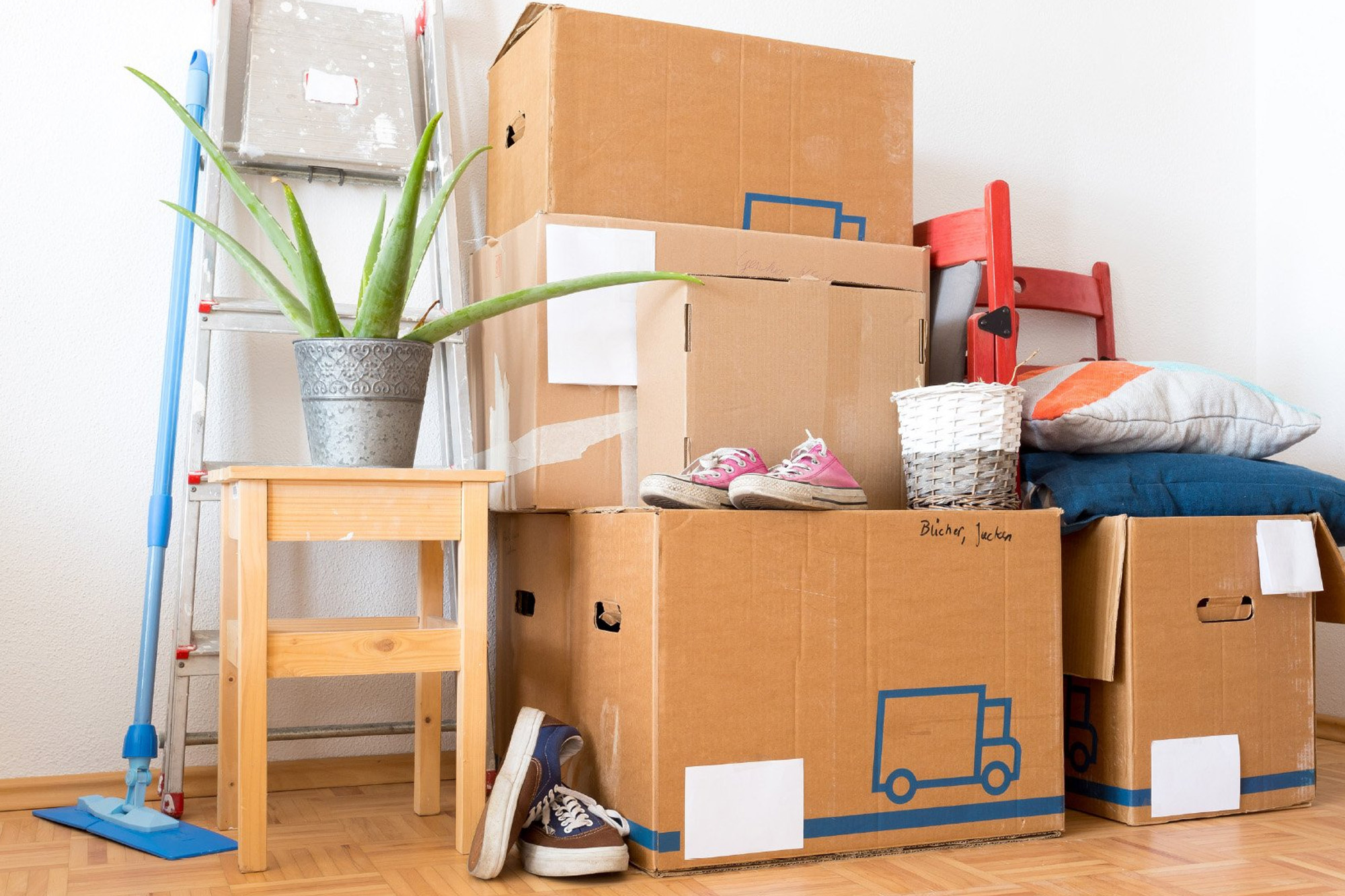 Packaging Cleaning Web1 Kakapo Business Sales