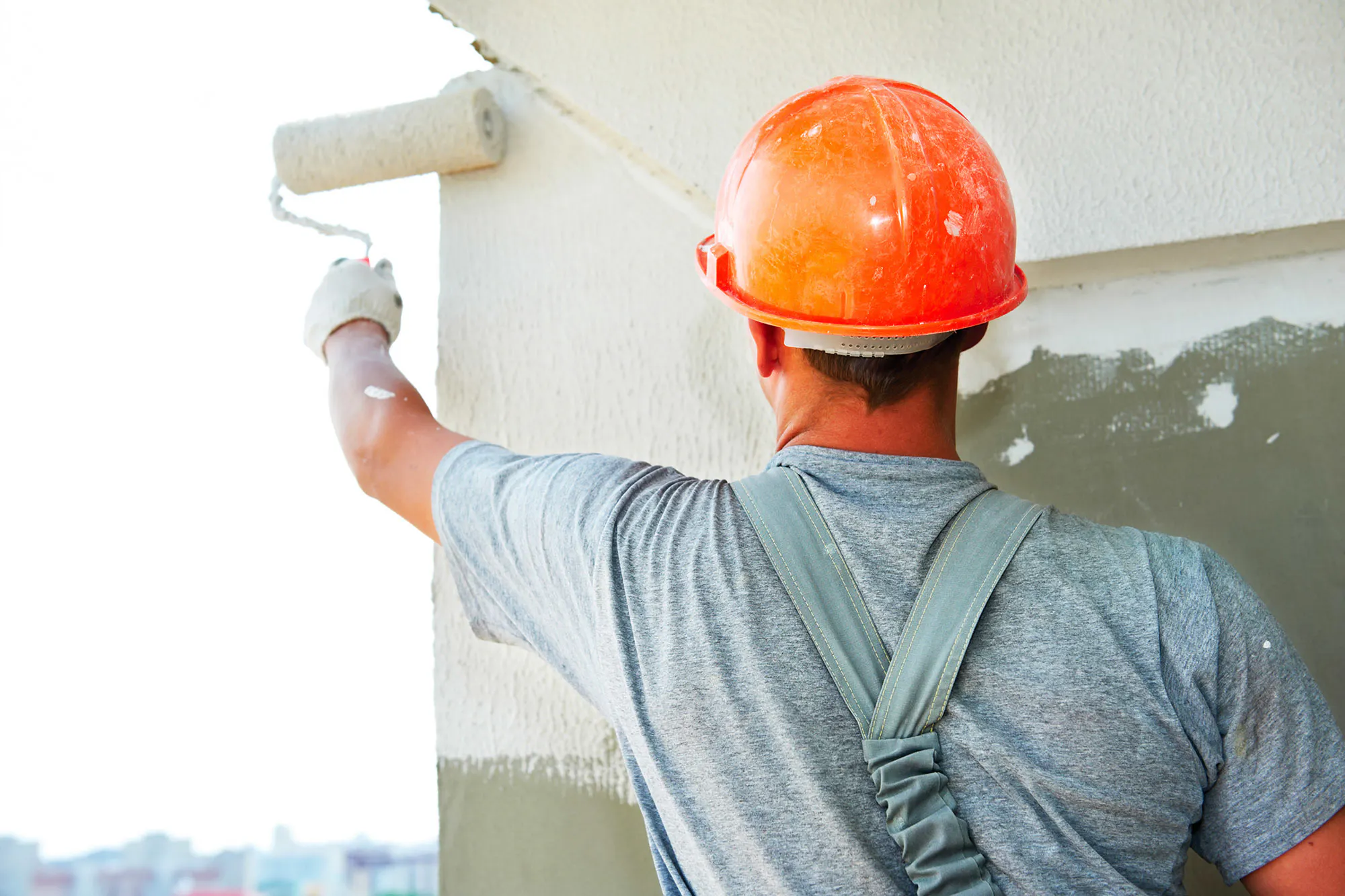 Painting Web Kakapo Business Sales