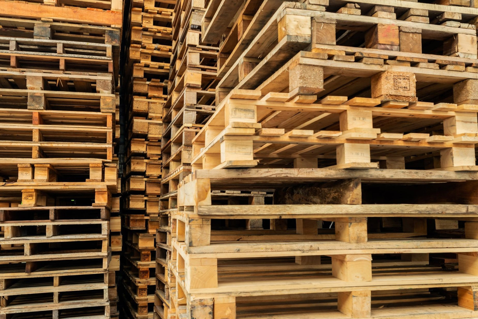 Pallet Racking Web1 Kakapo Business Sales