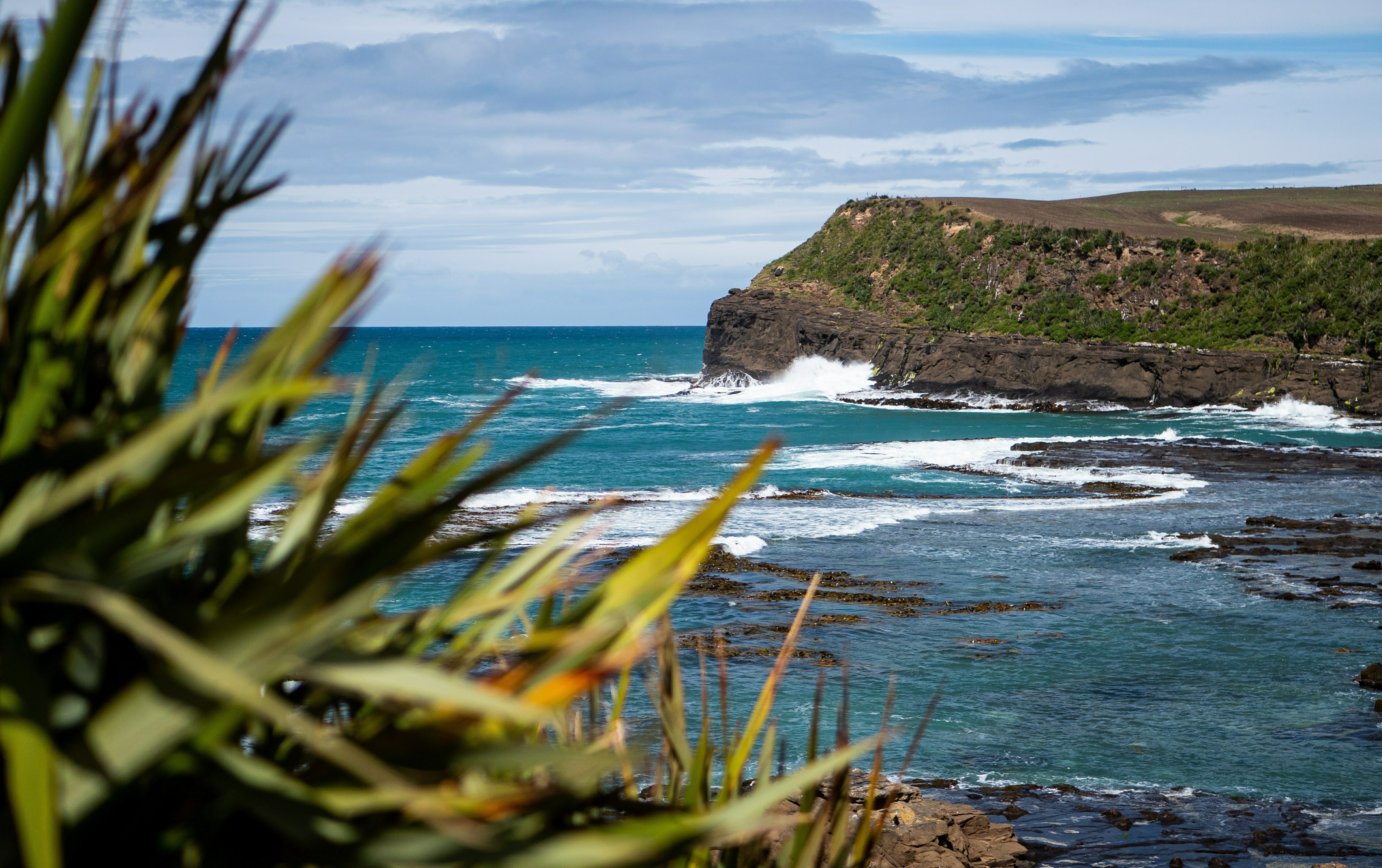 Catlins