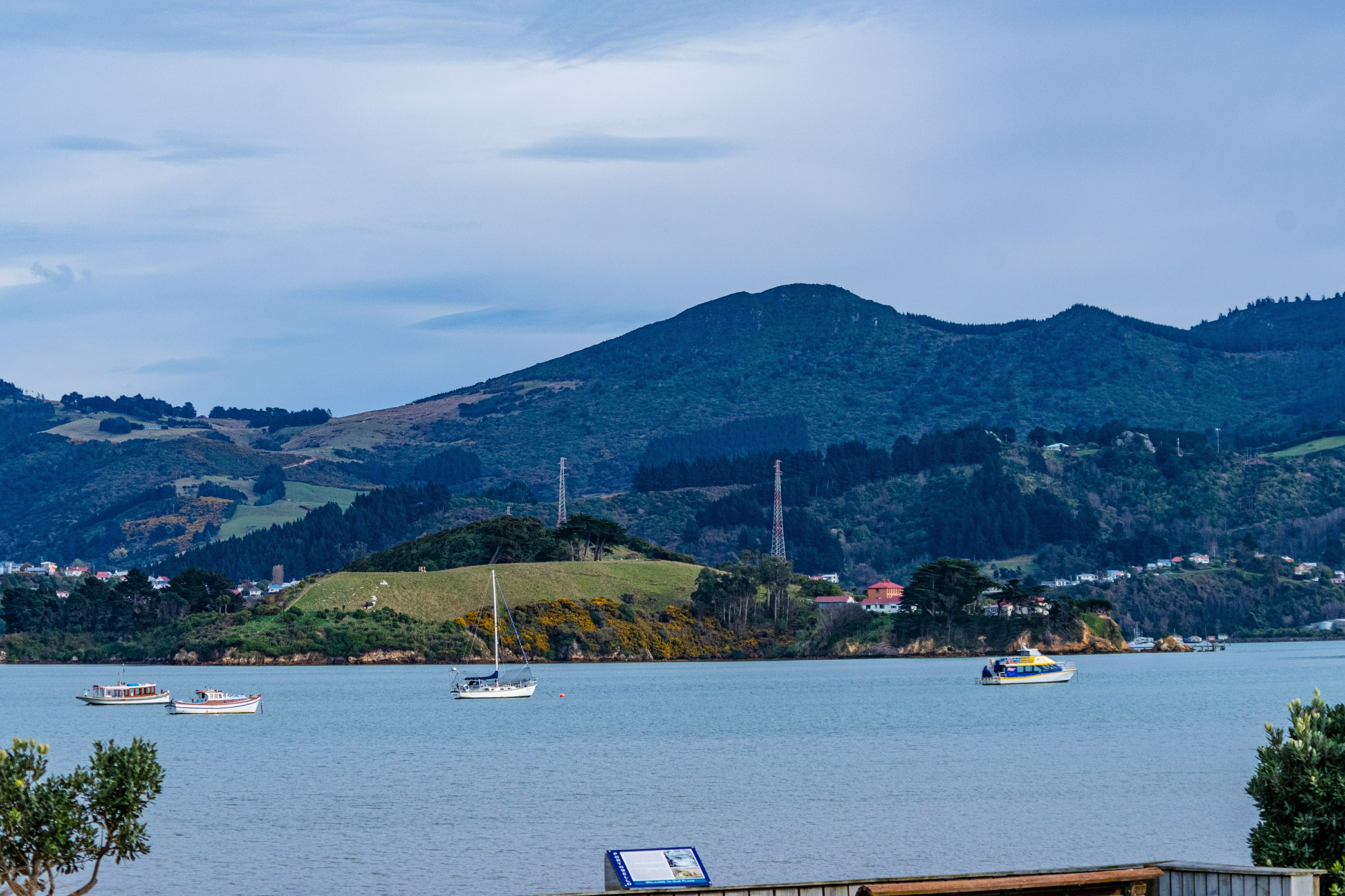 Dunedin