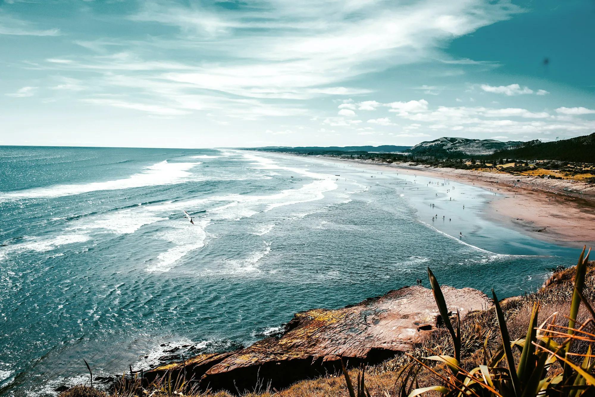 Gisborne