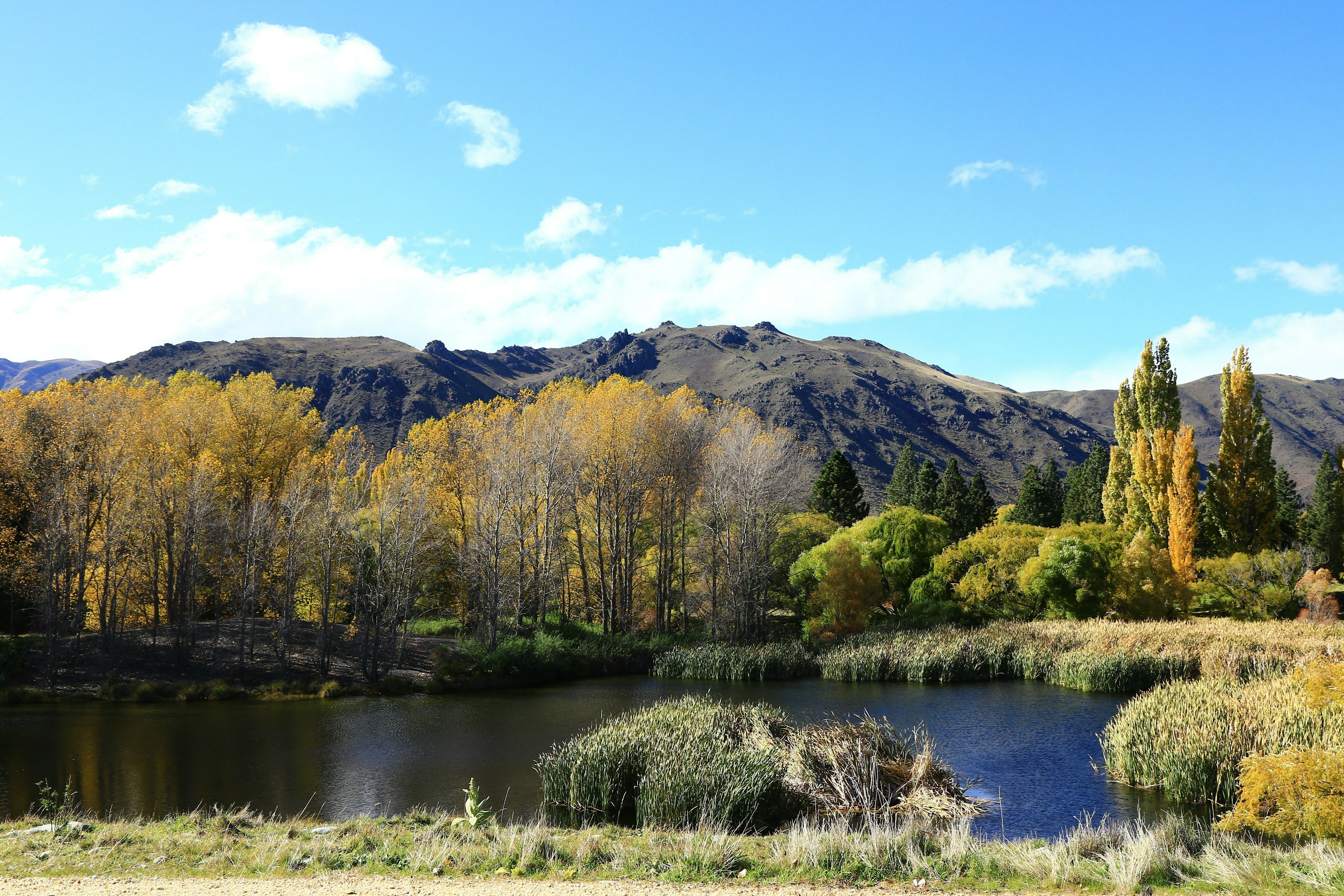 Hurunui
