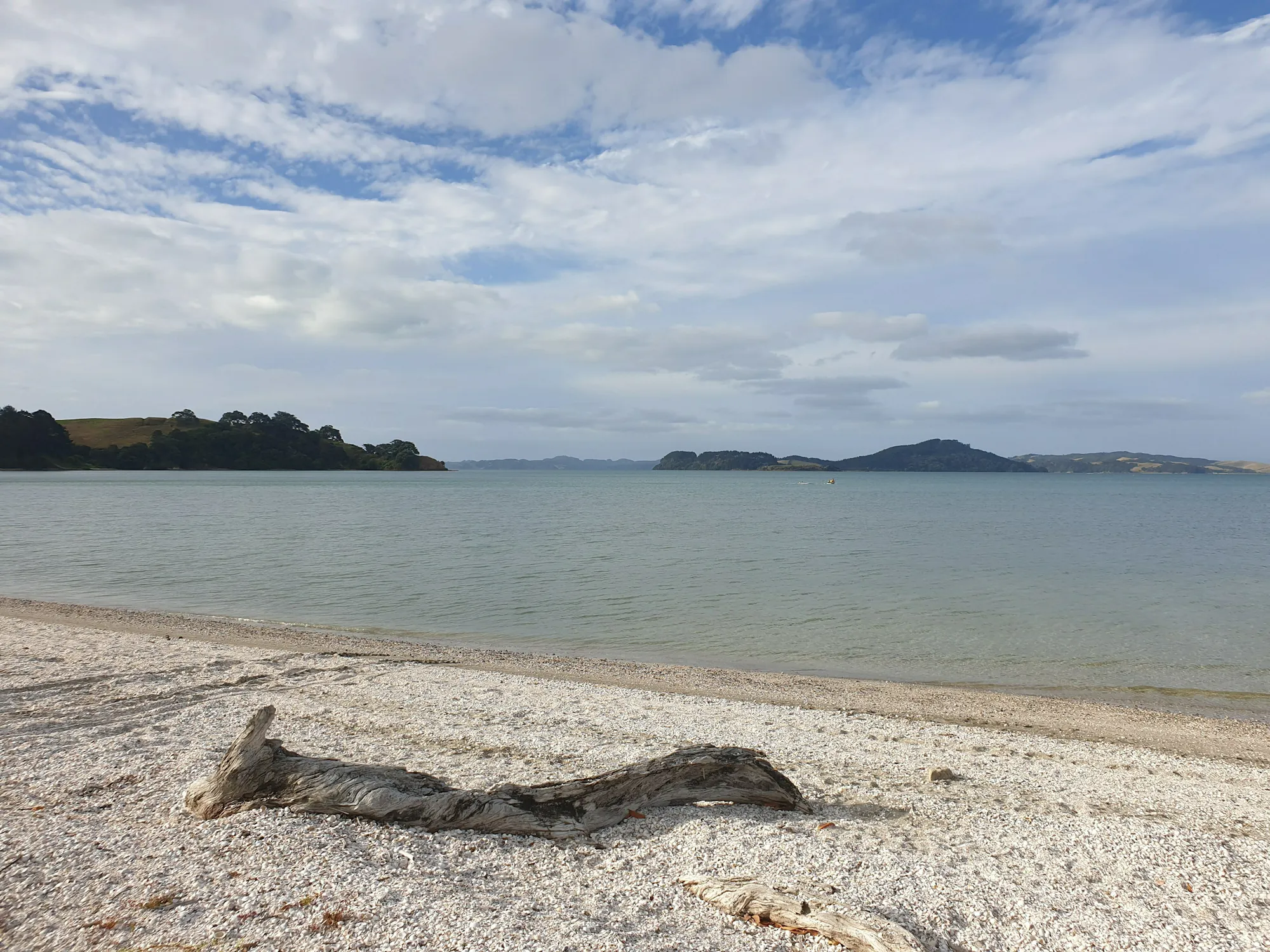 Kawakawa