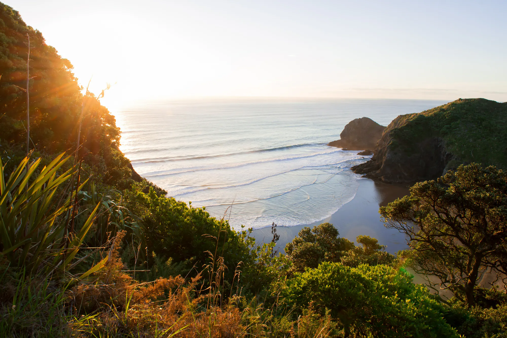 North Island