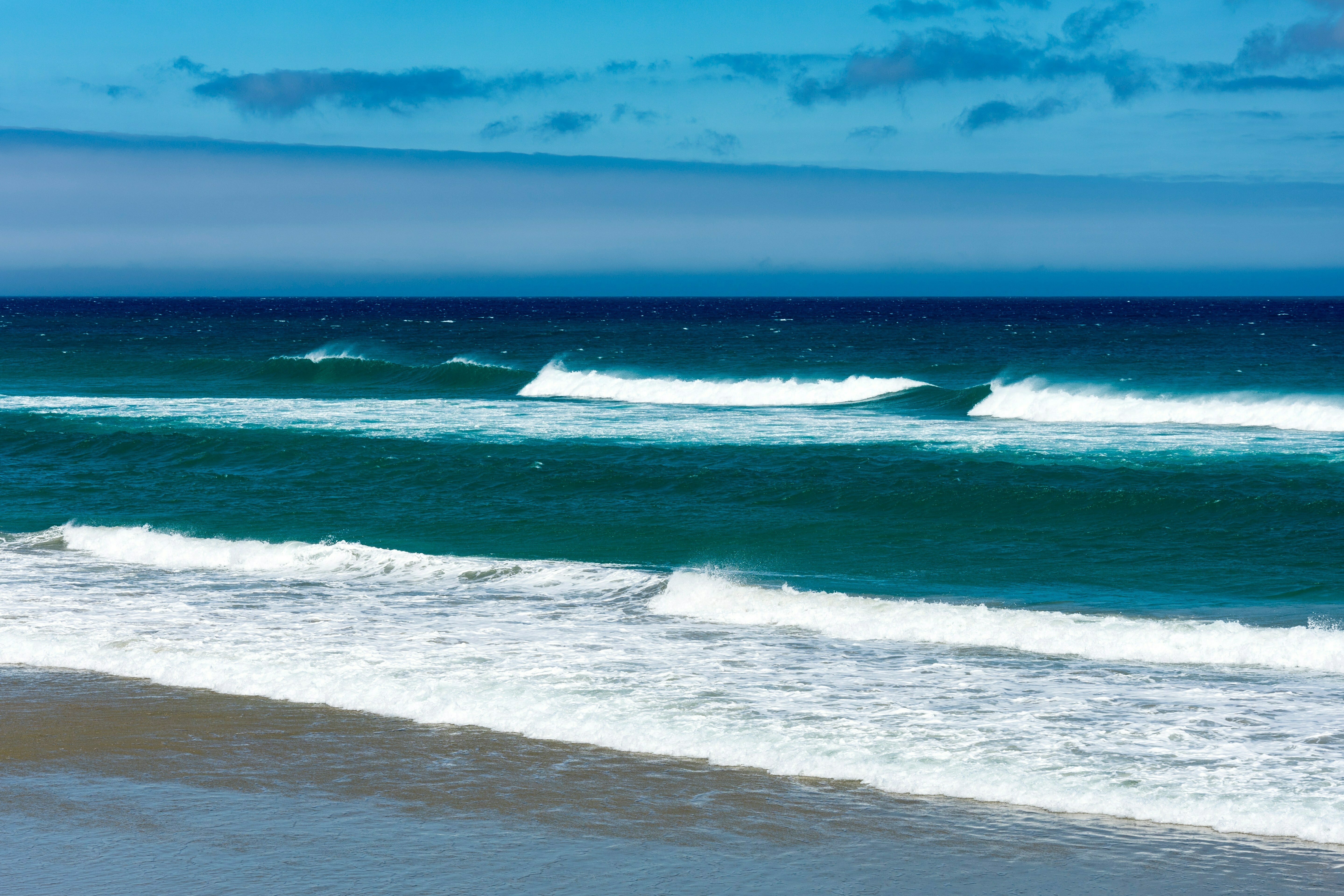 South Otago