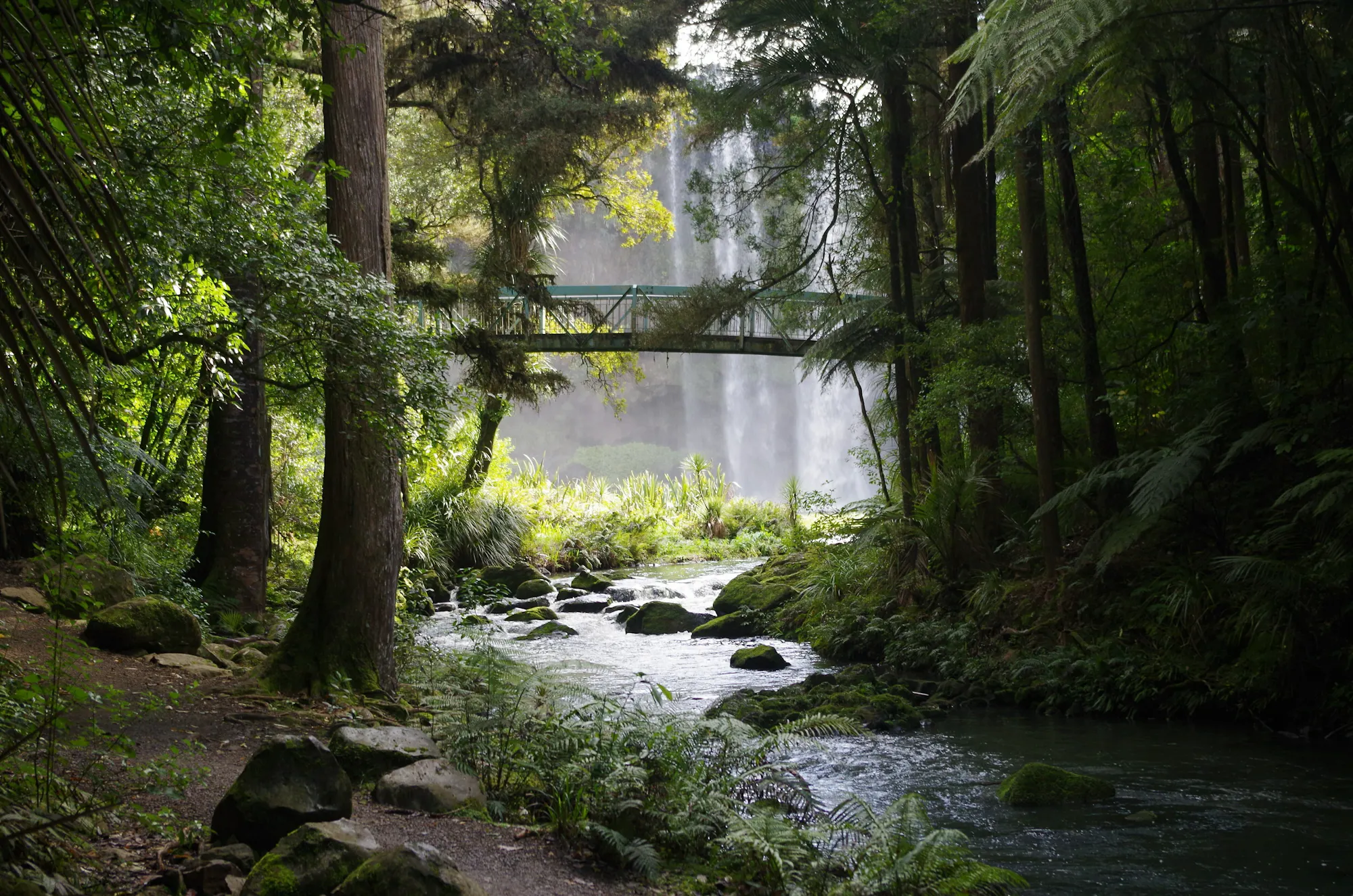 Whangarei